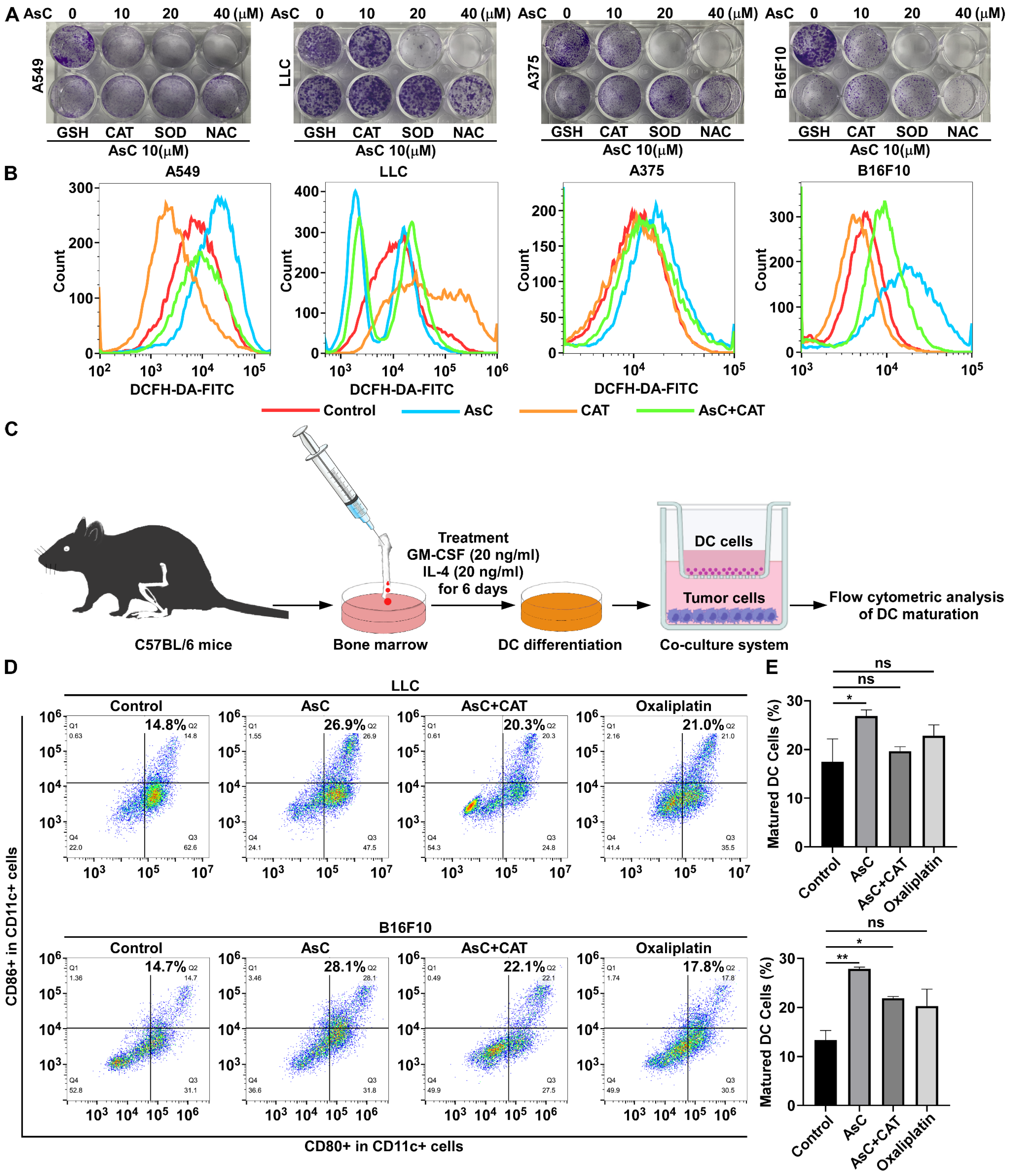 Marinedrugs 21 00600 g007