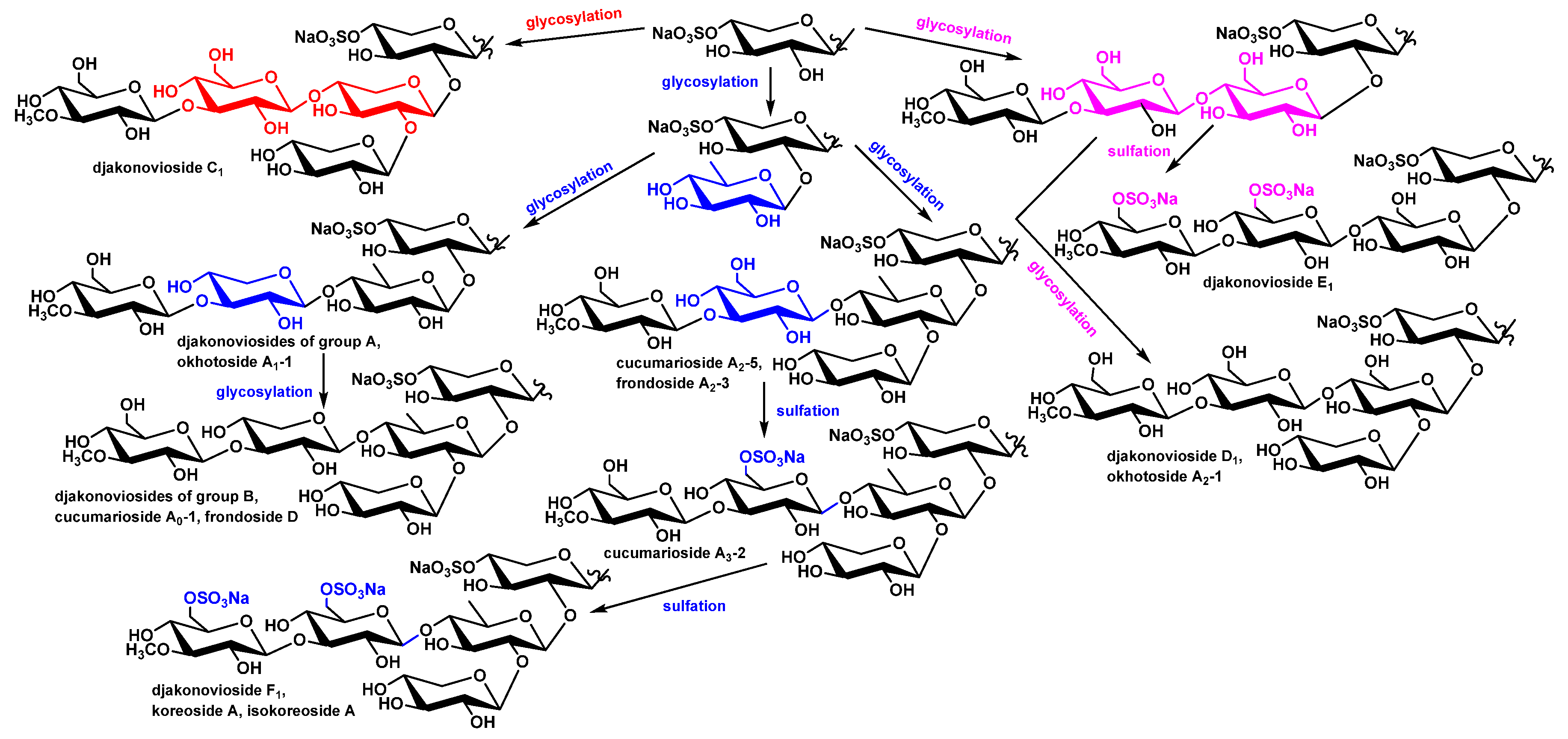 Marinedrugs 21 00602 g006