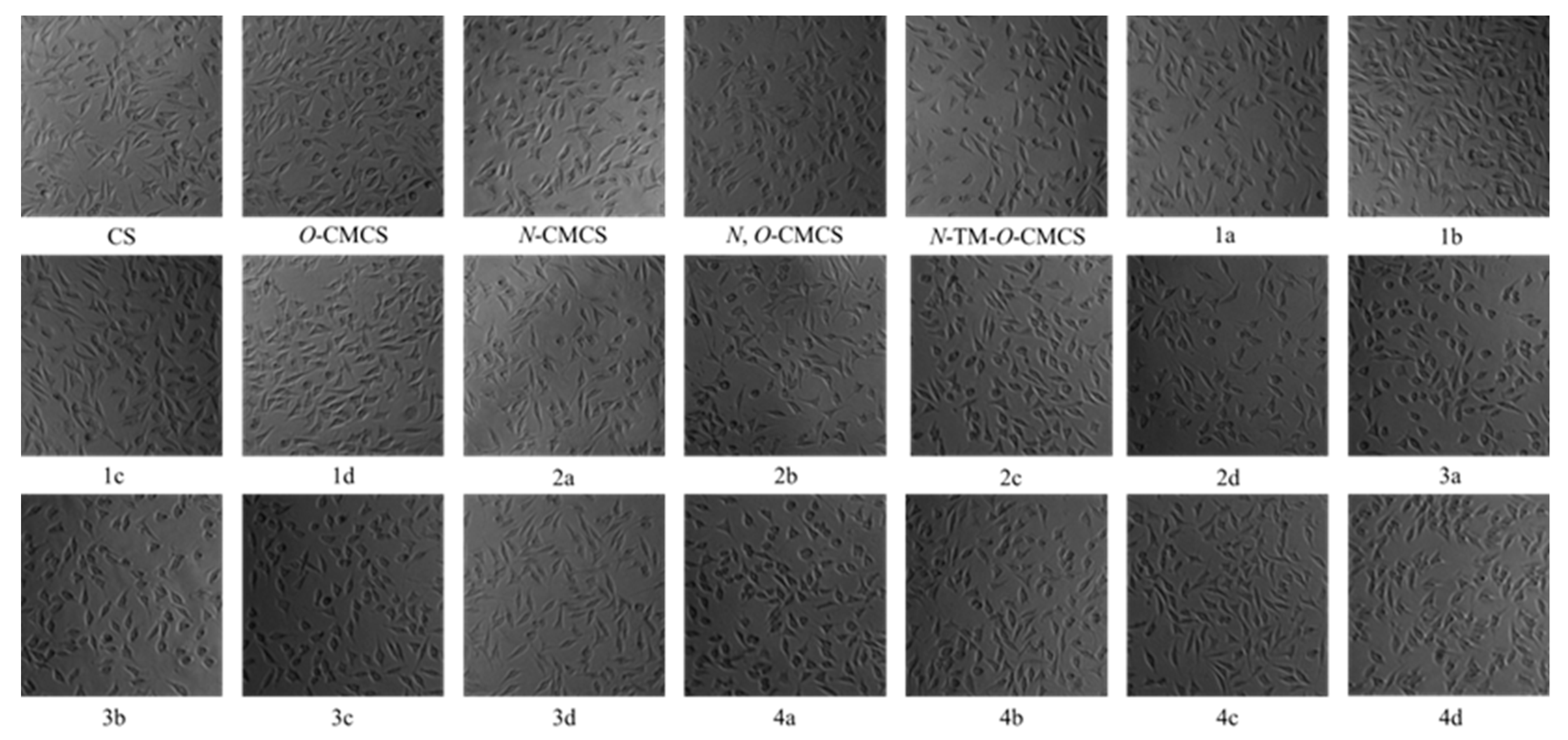 Marinedrugs 21 00606 g008