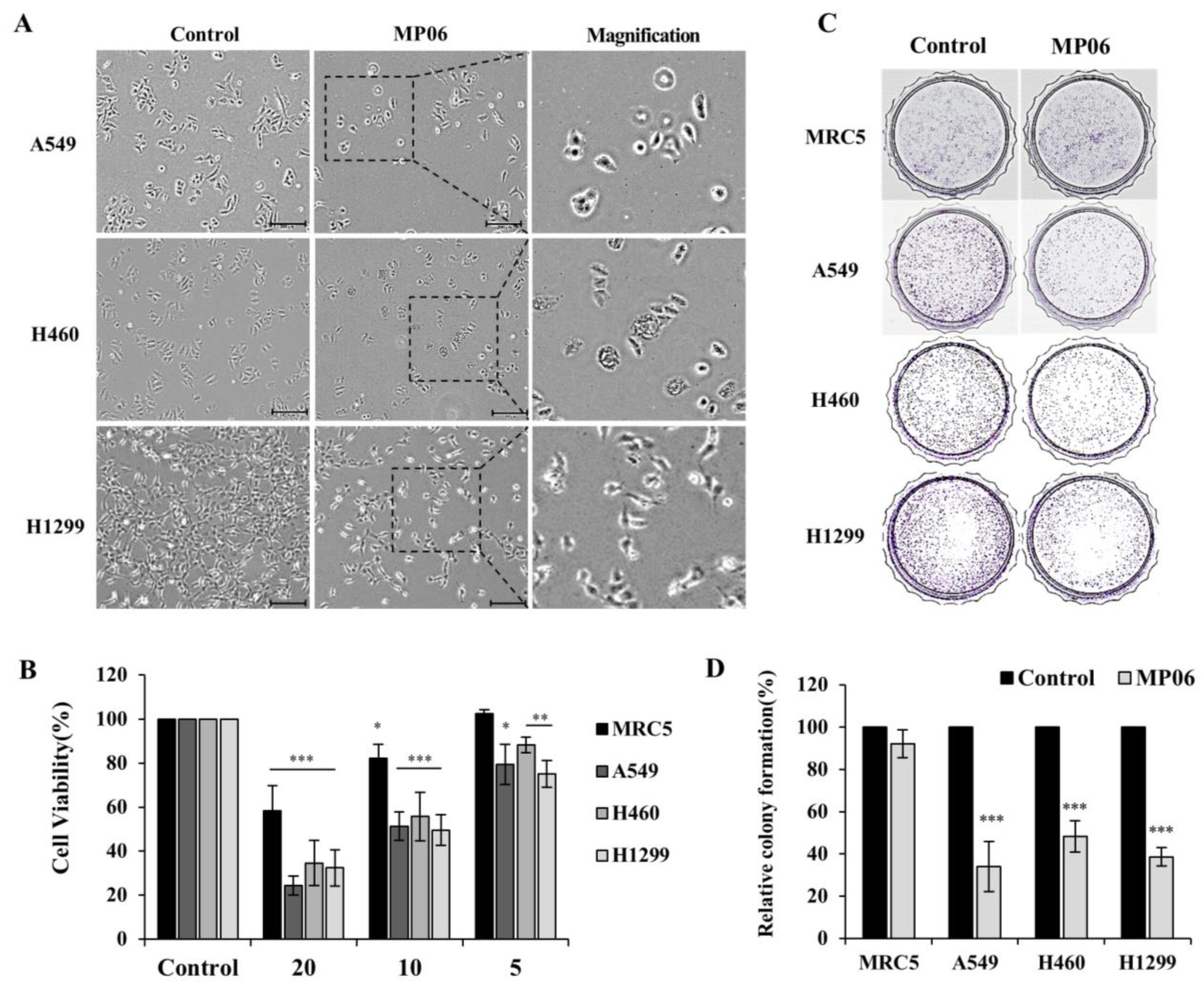 Marinedrugs 21 00607 g002