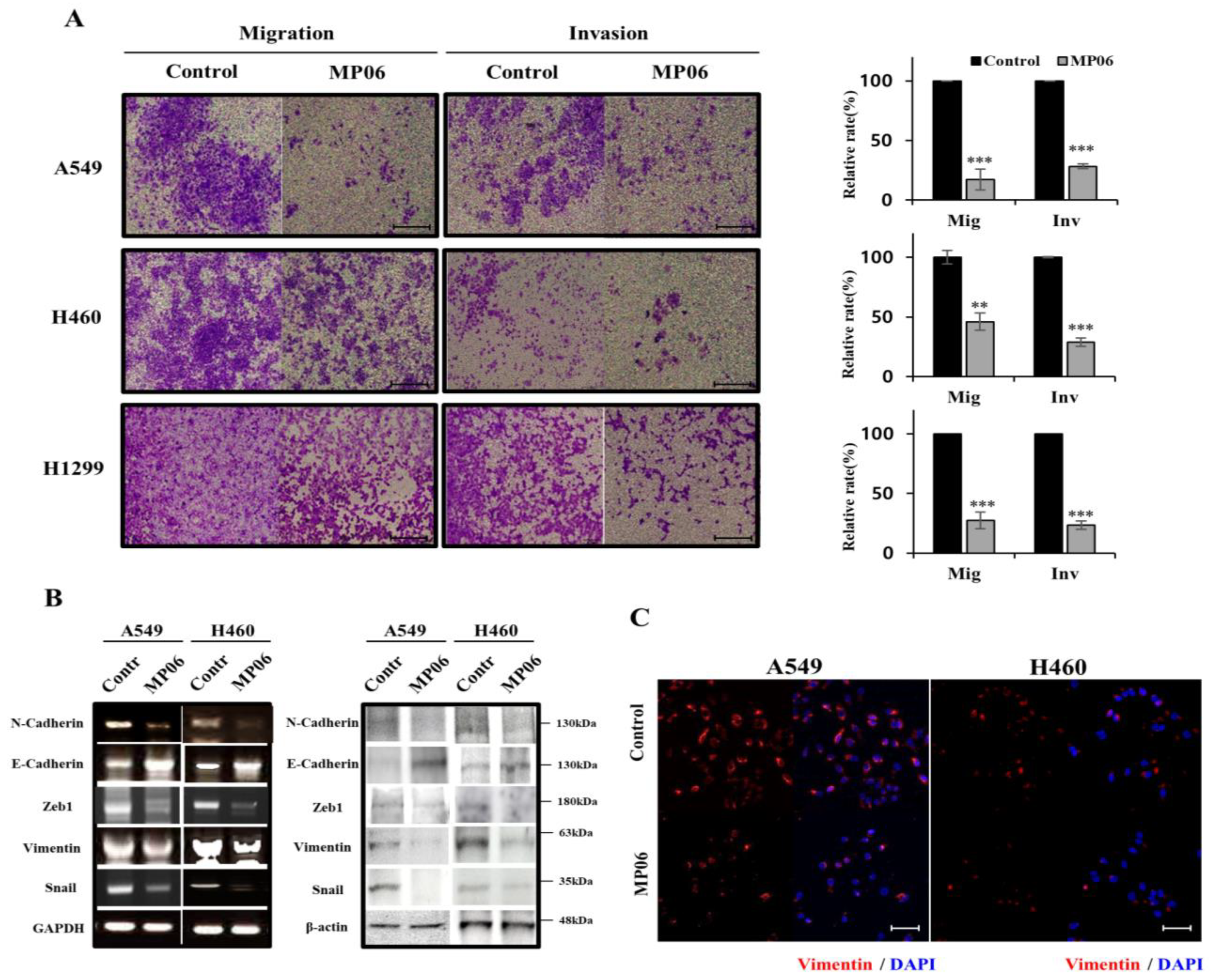 Marinedrugs 21 00607 g003