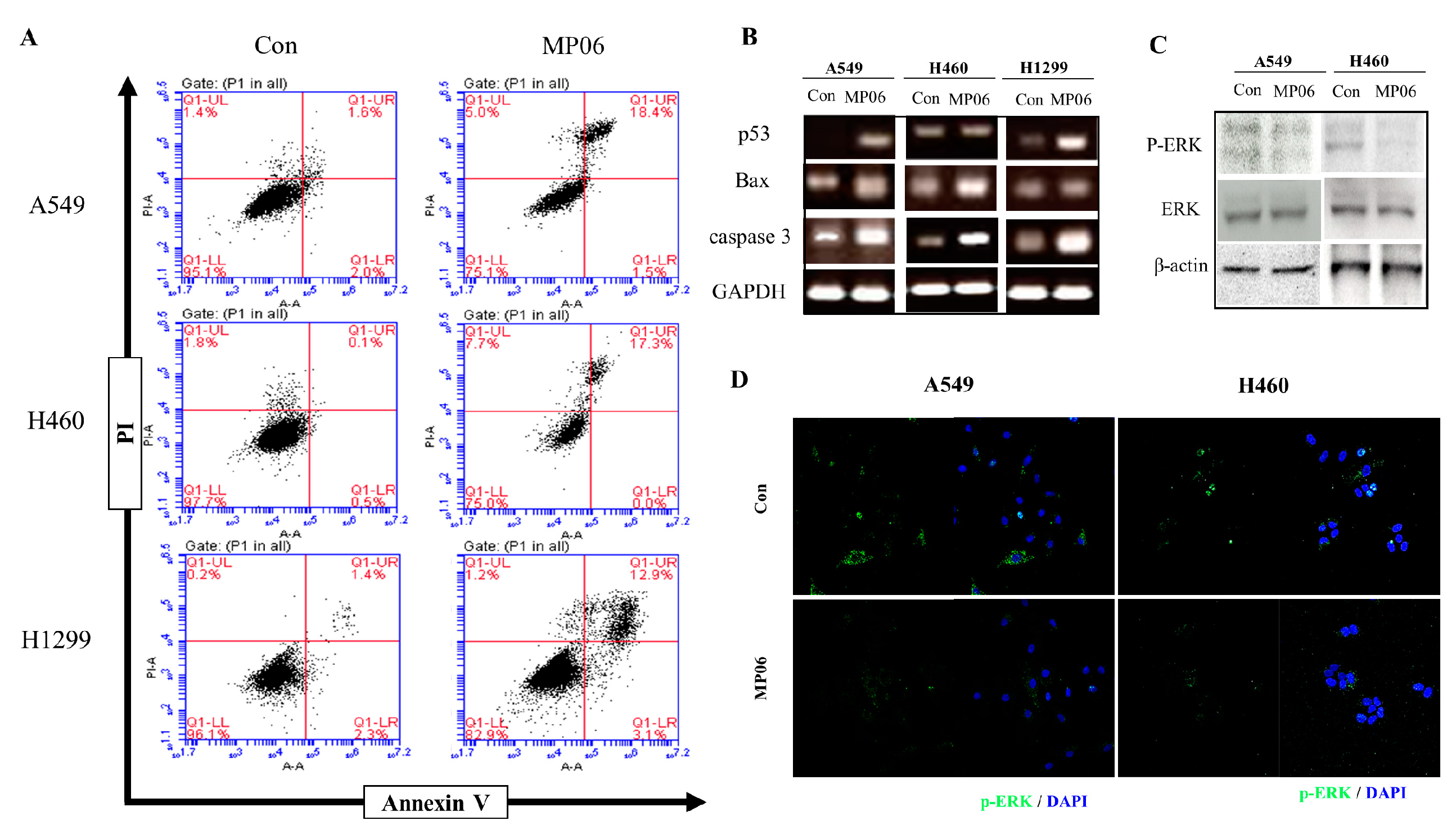 Marinedrugs 21 00607 g004