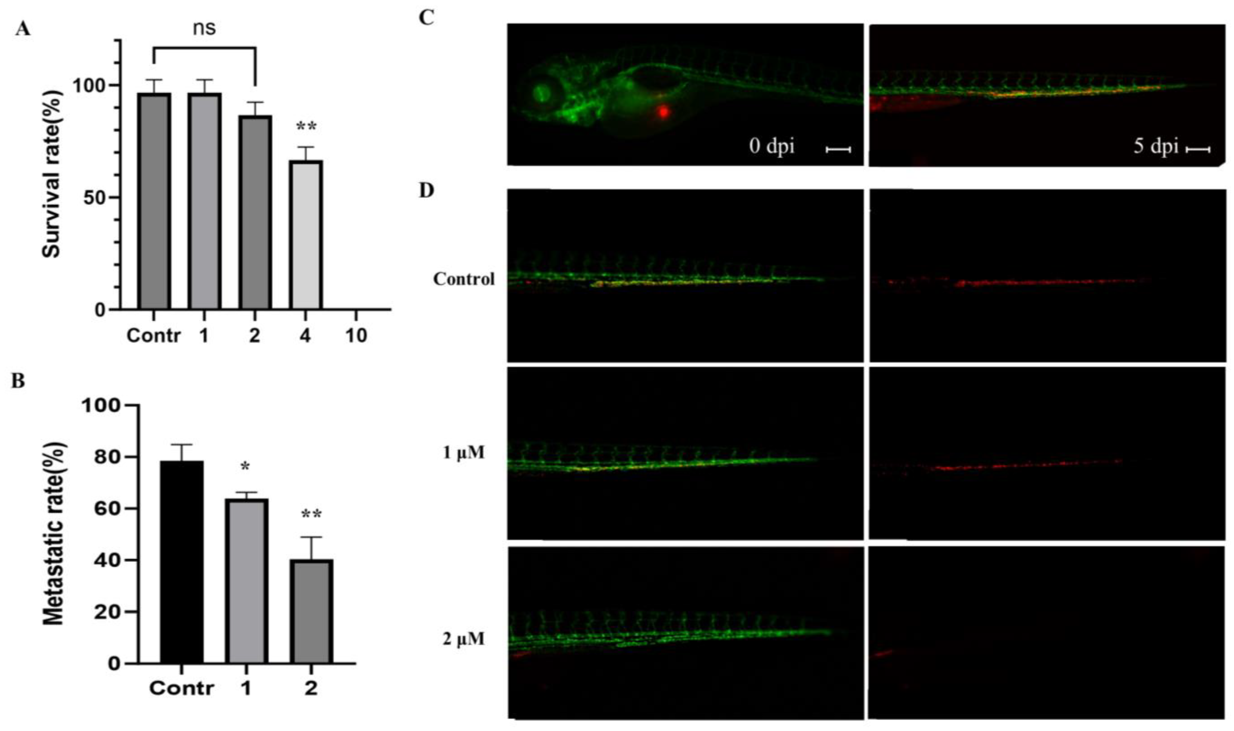 Marinedrugs 21 00607 g005