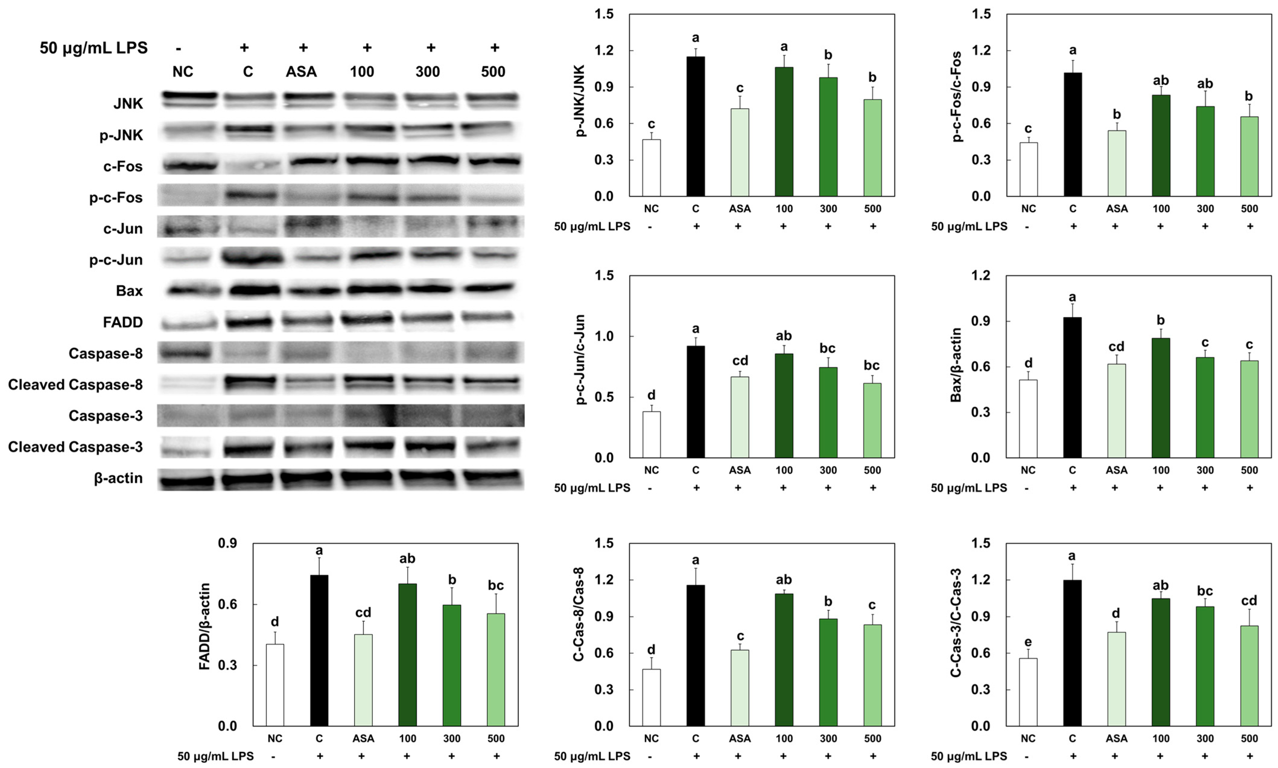 Marinedrugs 21 00608 g003