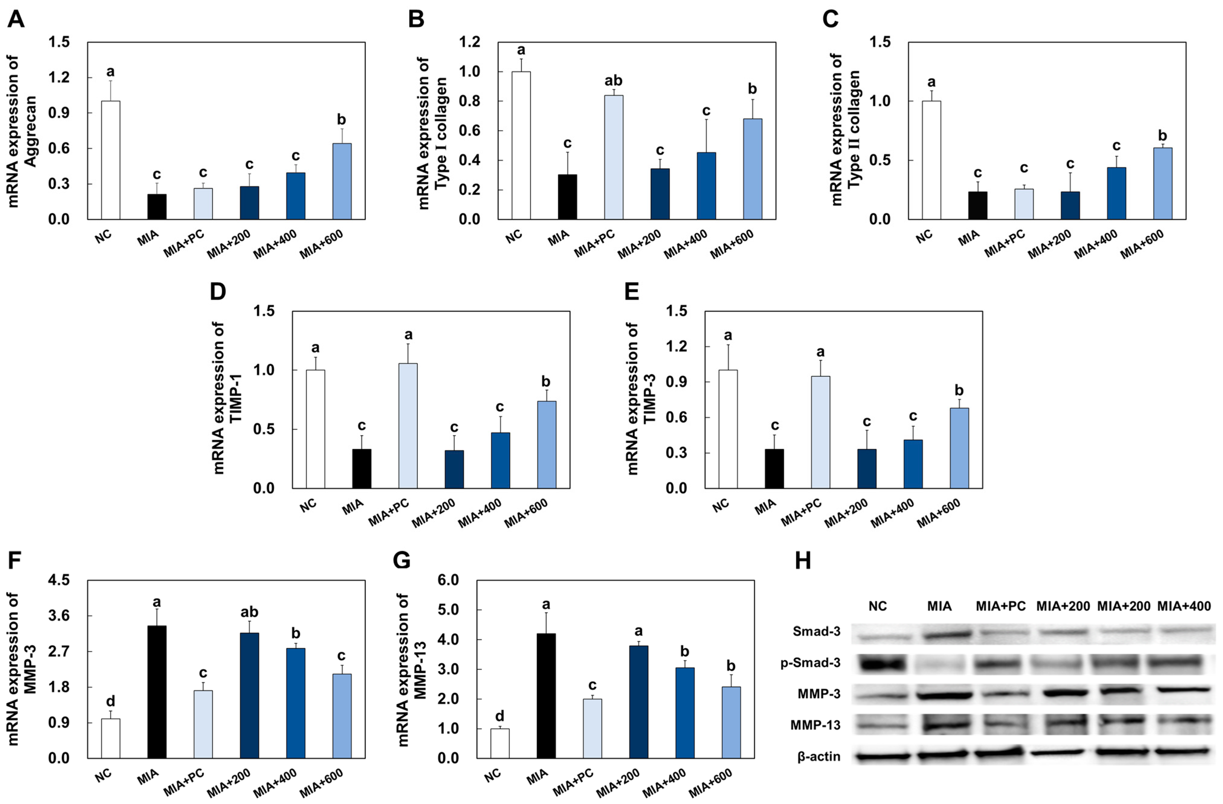 Marinedrugs 21 00608 g005