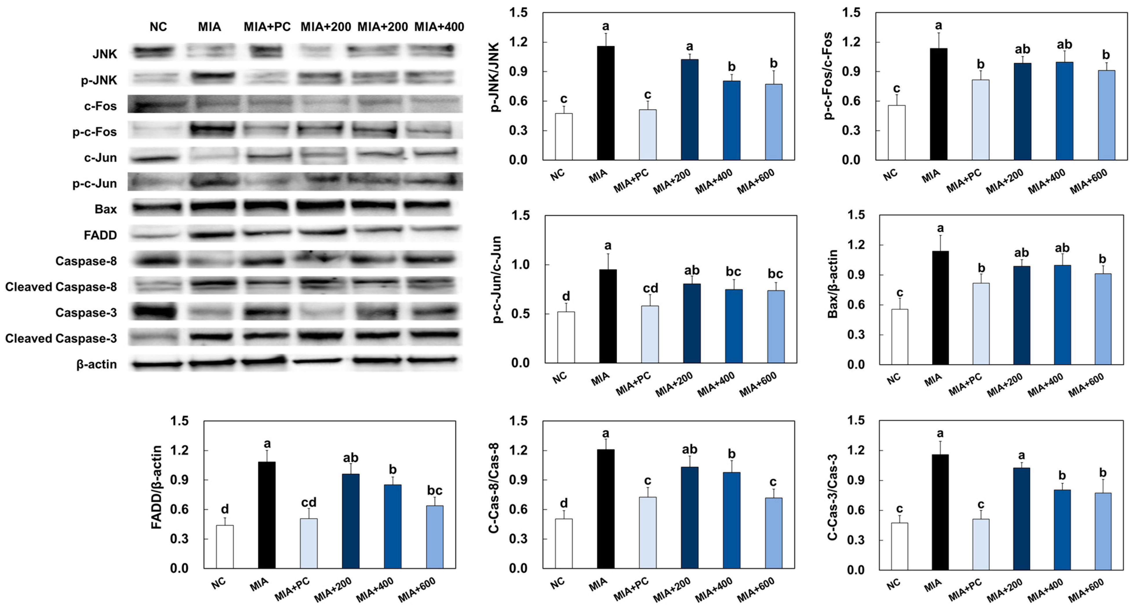 Marinedrugs 21 00608 g007