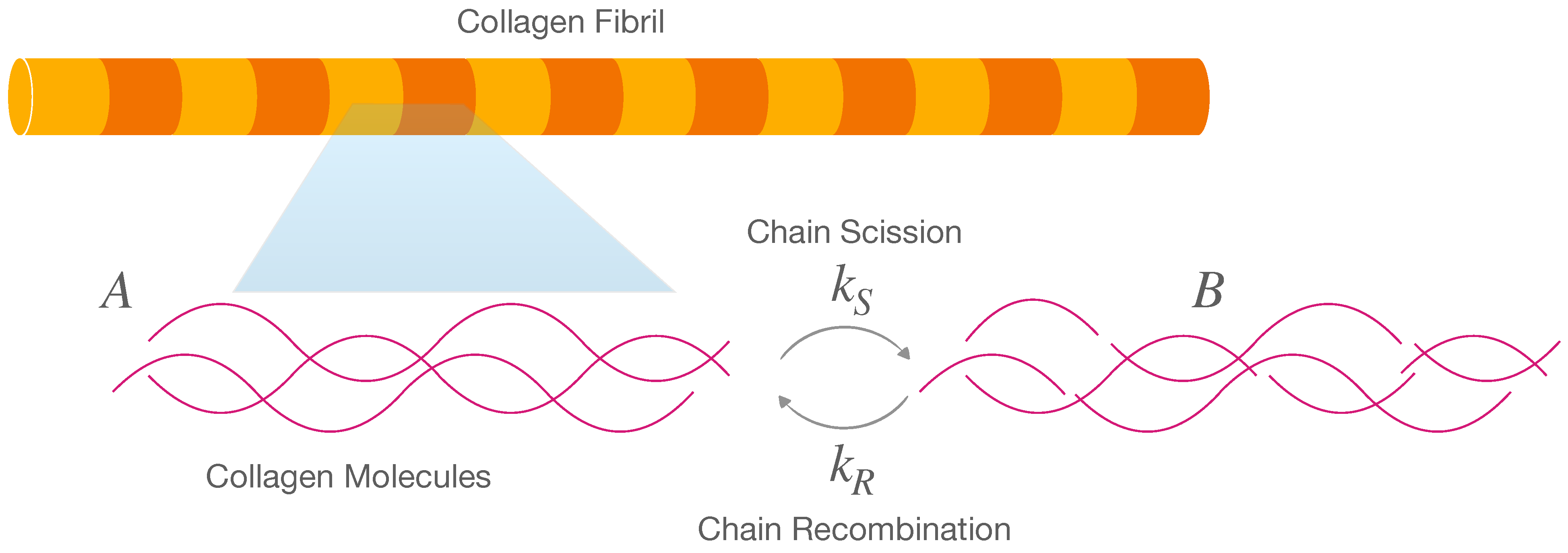Marinedrugs 21 00610 g006