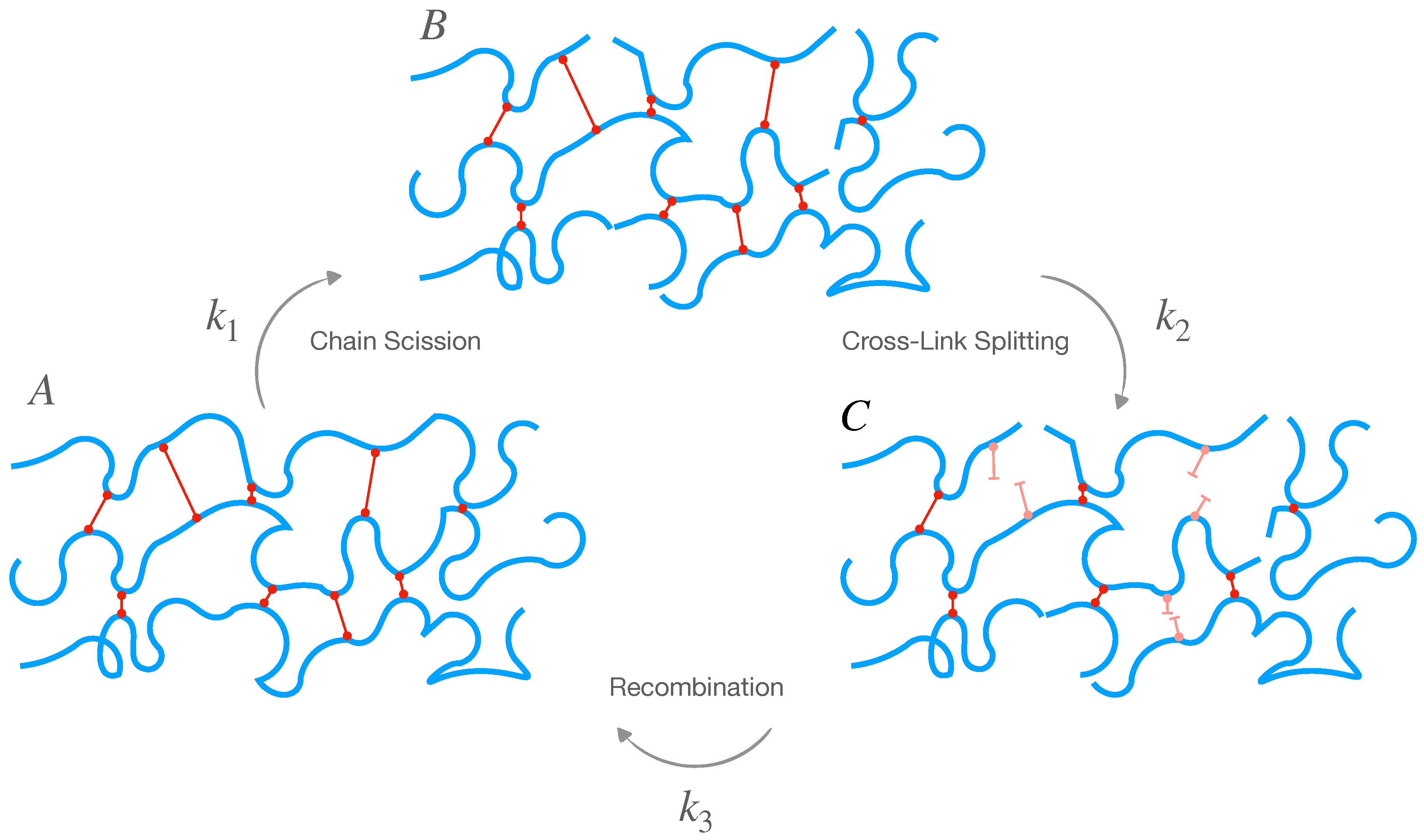 Marinedrugs 21 00610 g007