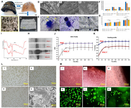 Marinedrugs 21 00611 g002