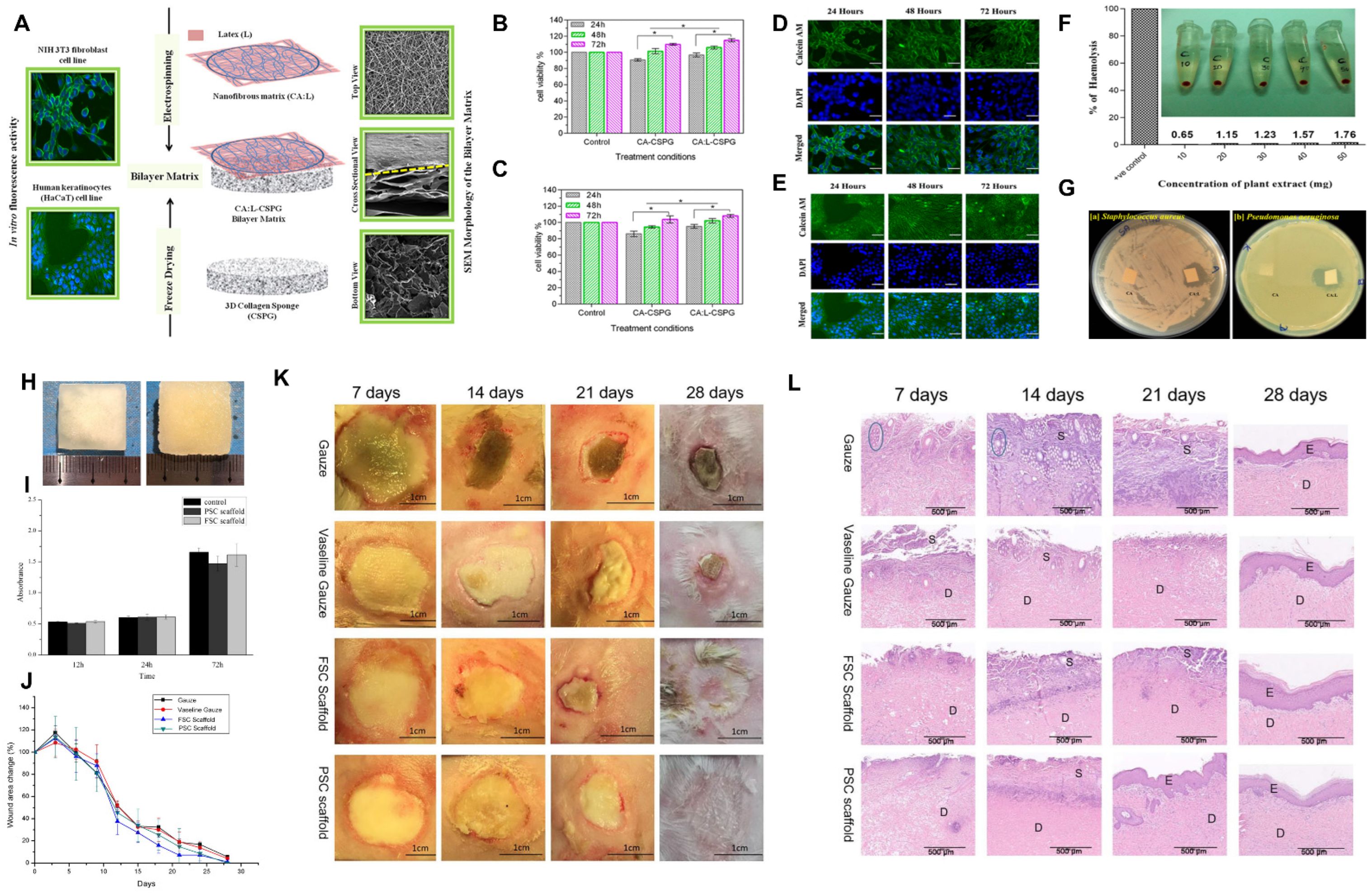 Marinedrugs 21 00611 g004