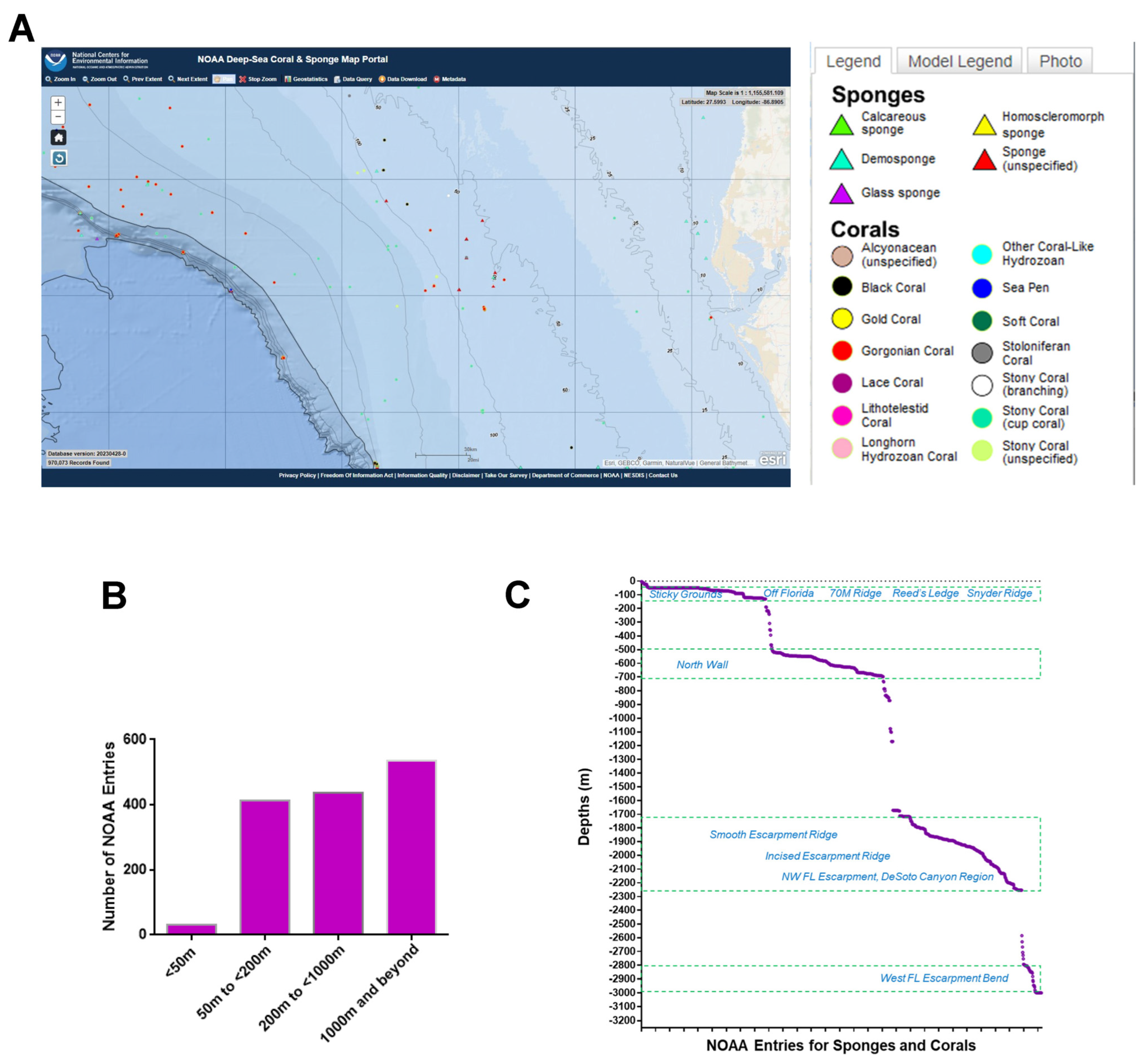 Marinedrugs 21 00615 g001