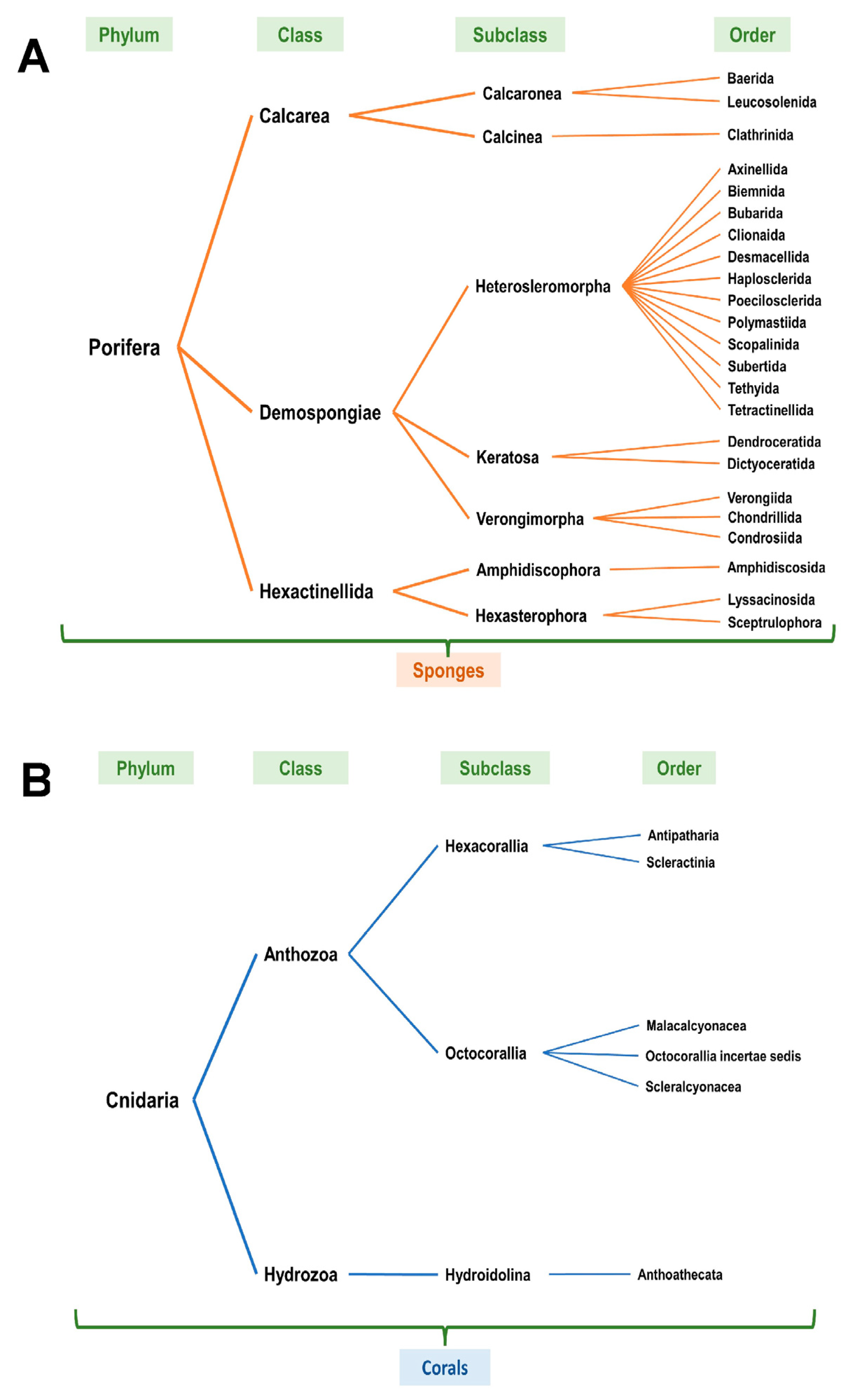 Marinedrugs 21 00615 g004