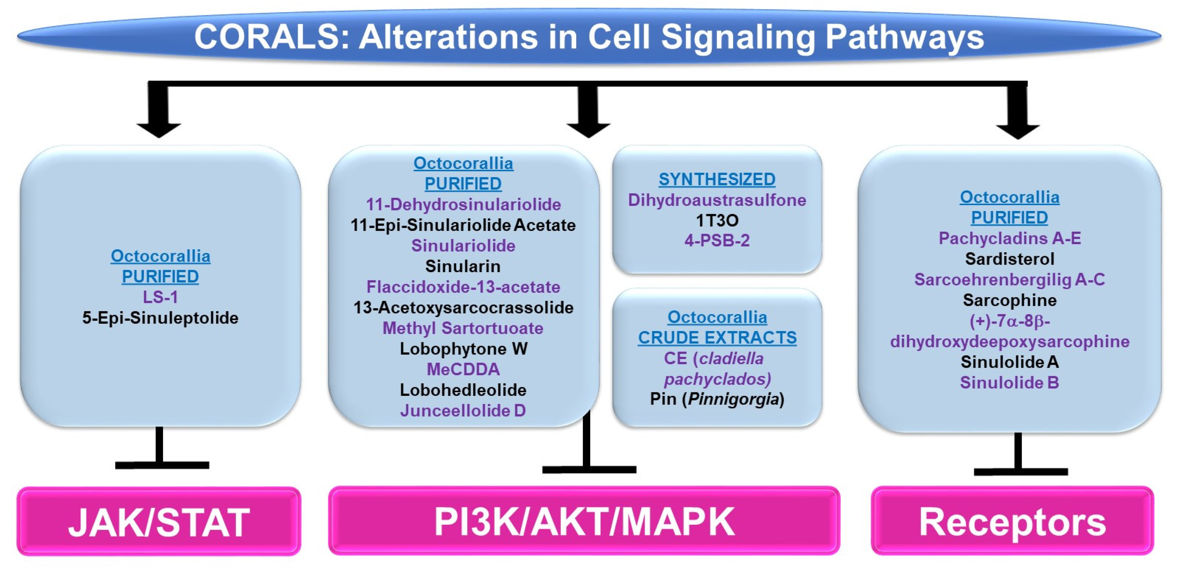Marinedrugs 21 00615 g007