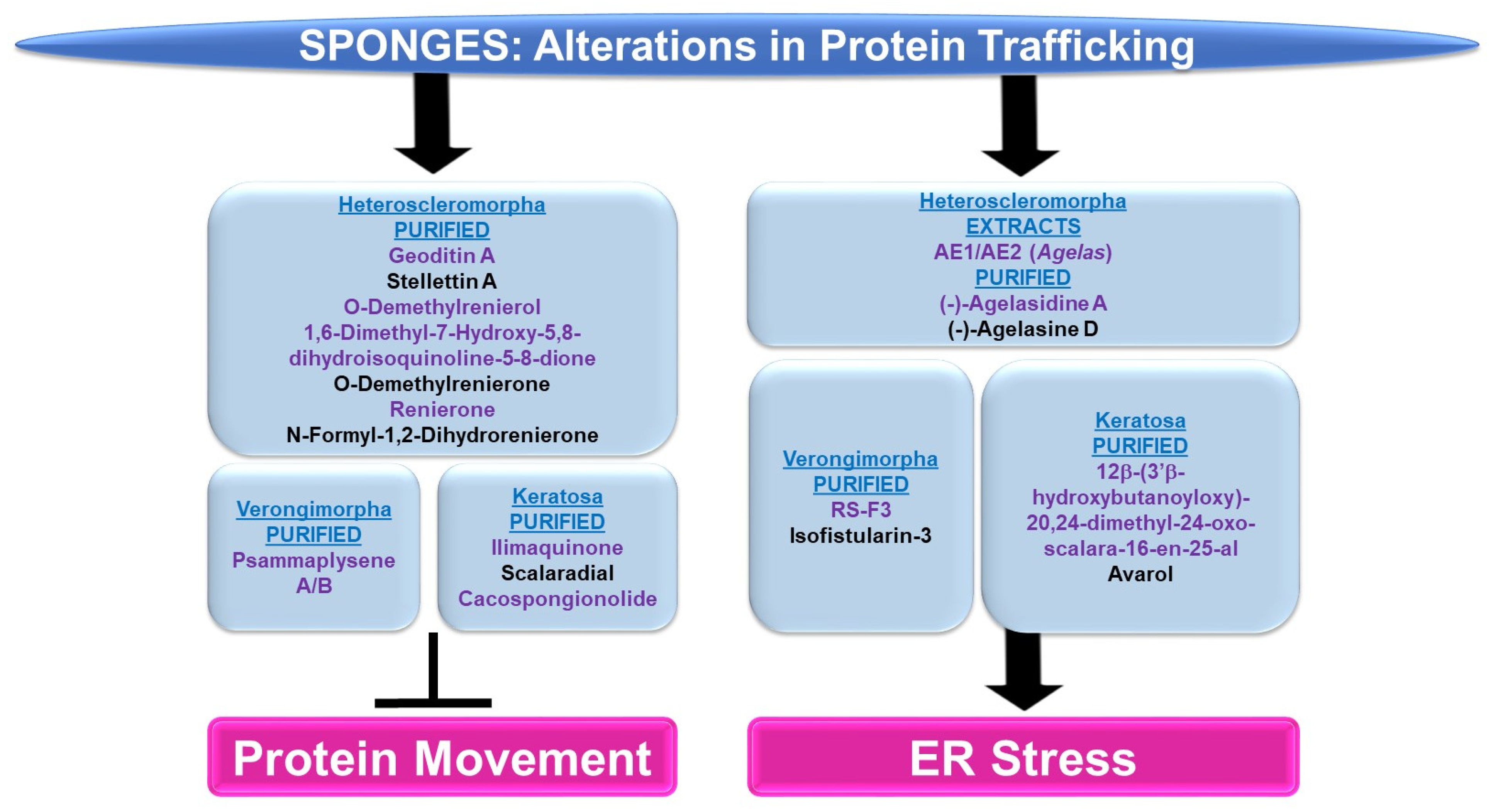 Marinedrugs 21 00615 g009