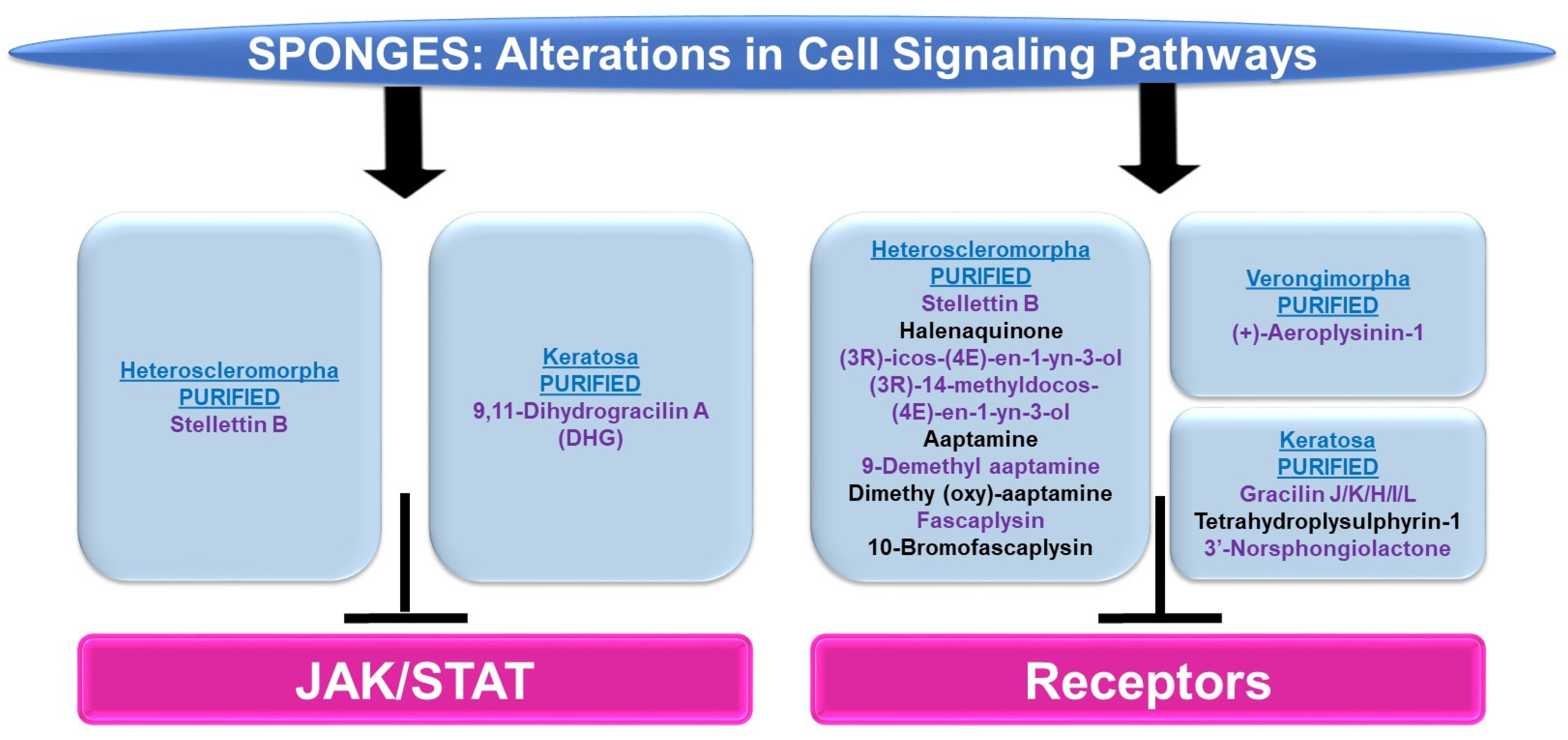 Marinedrugs 21 00615 g011