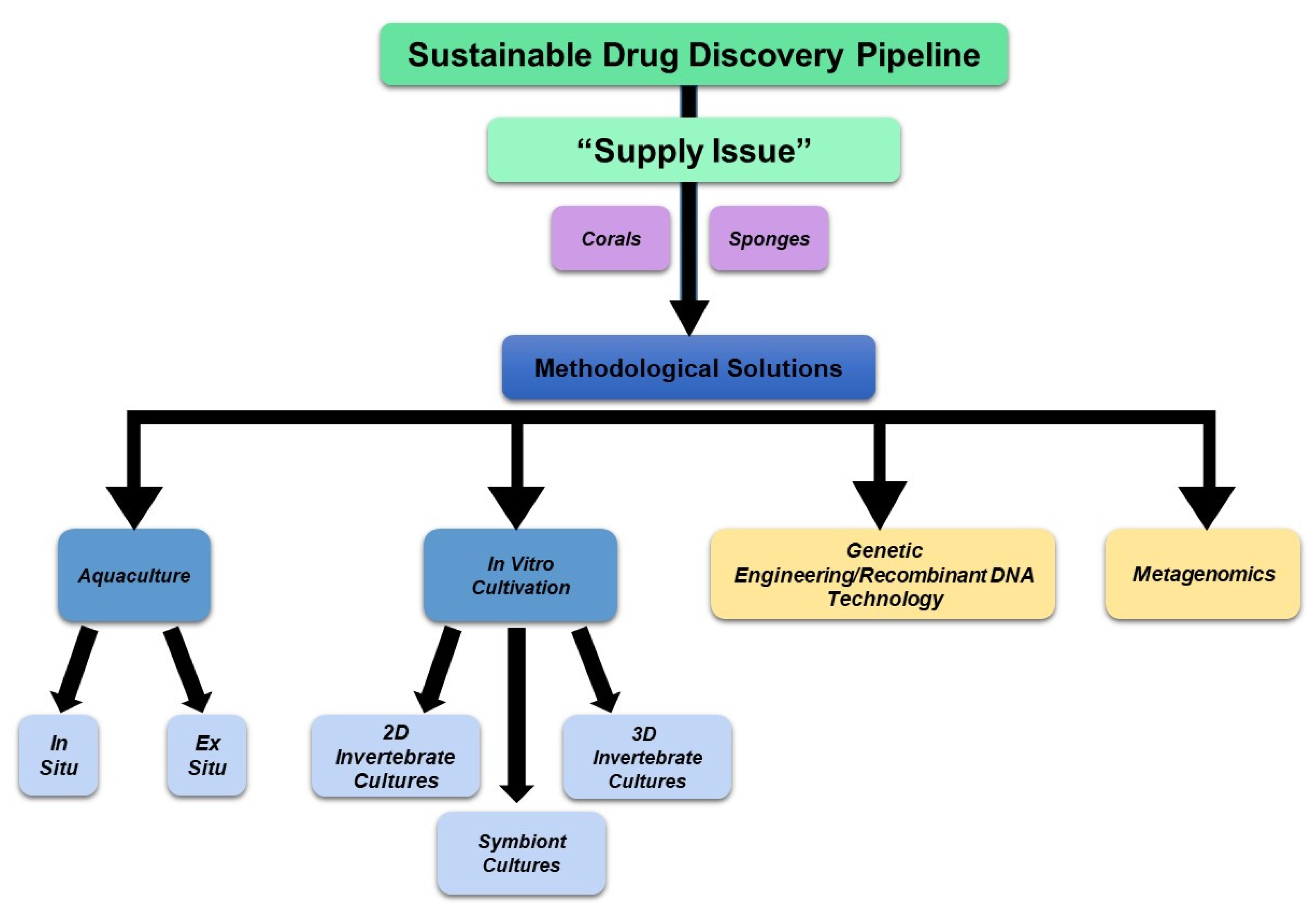 Marinedrugs 21 00615 g013