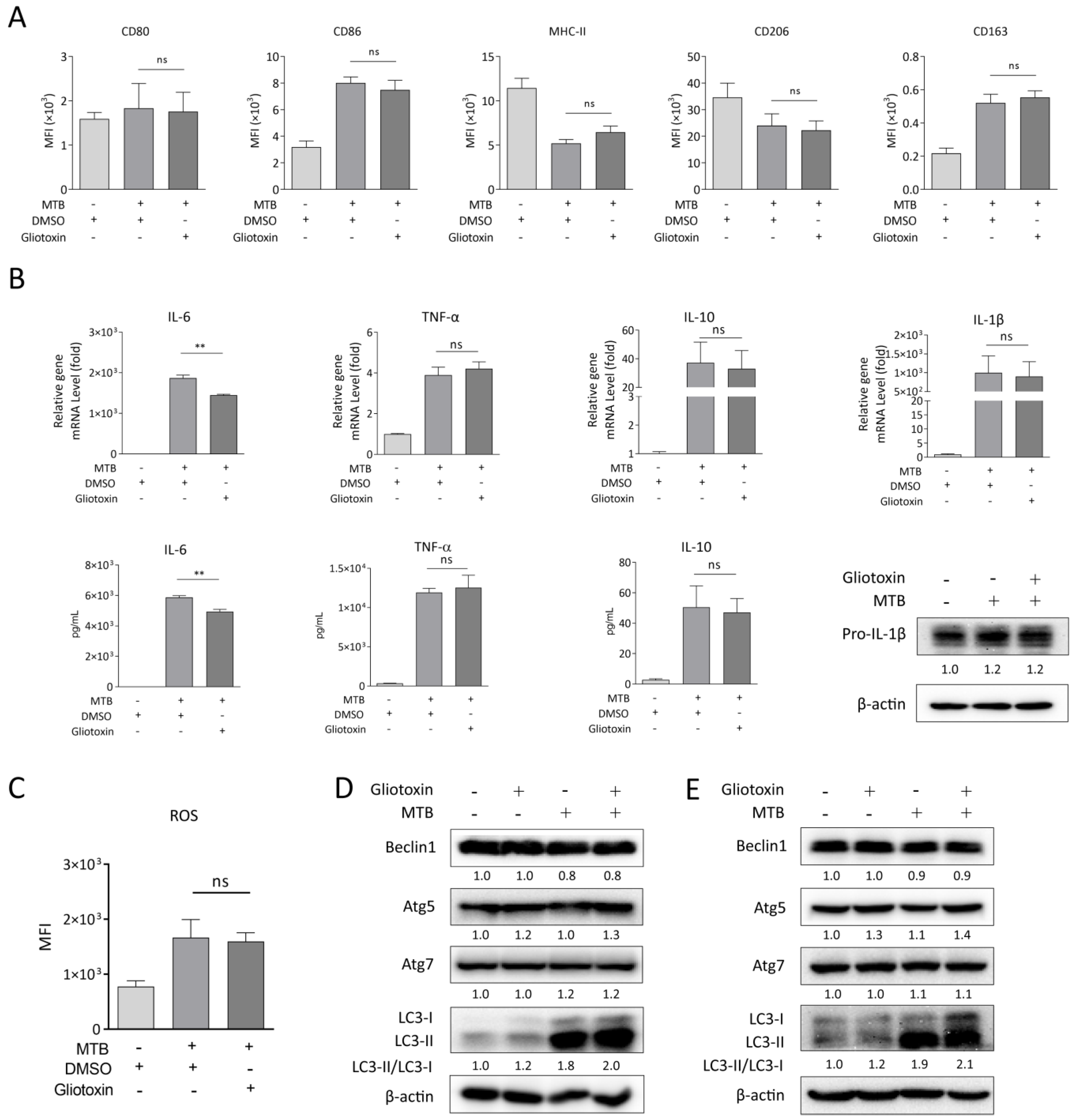 Marinedrugs 21 00616 g003