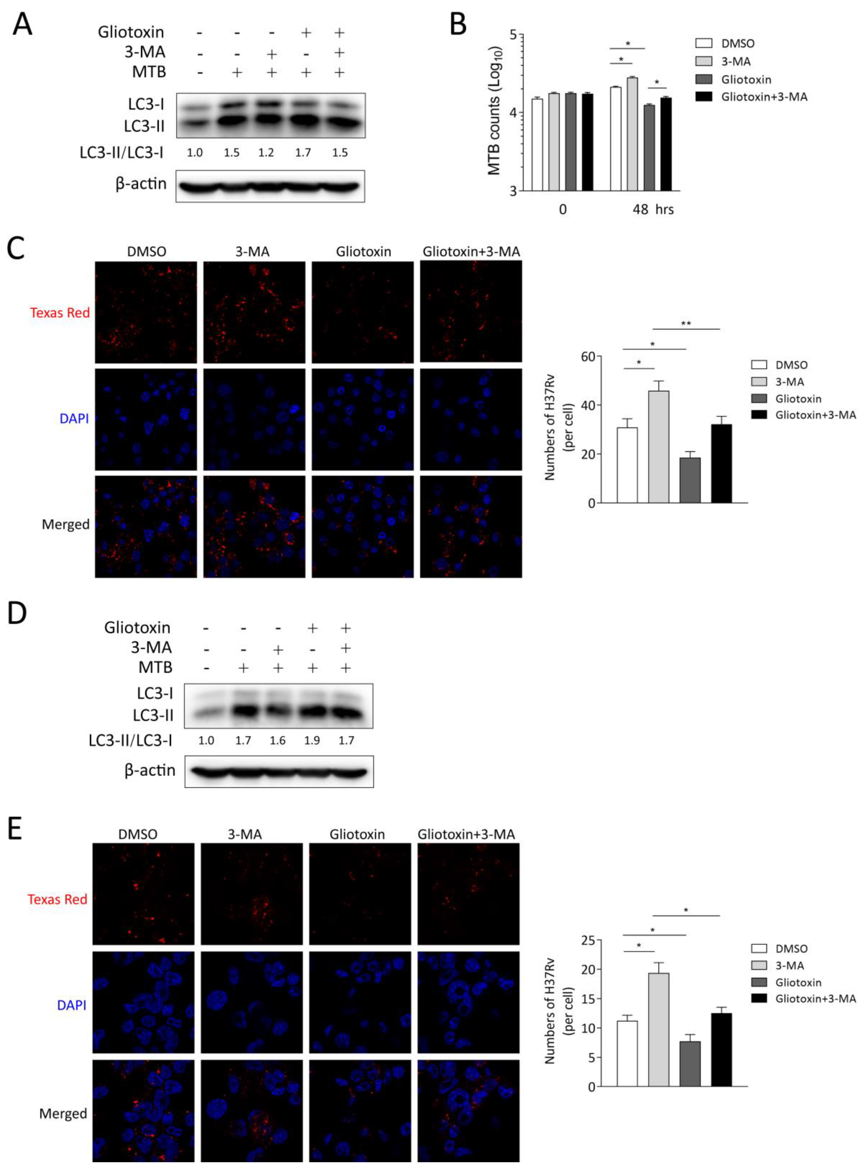 Marinedrugs 21 00616 g004