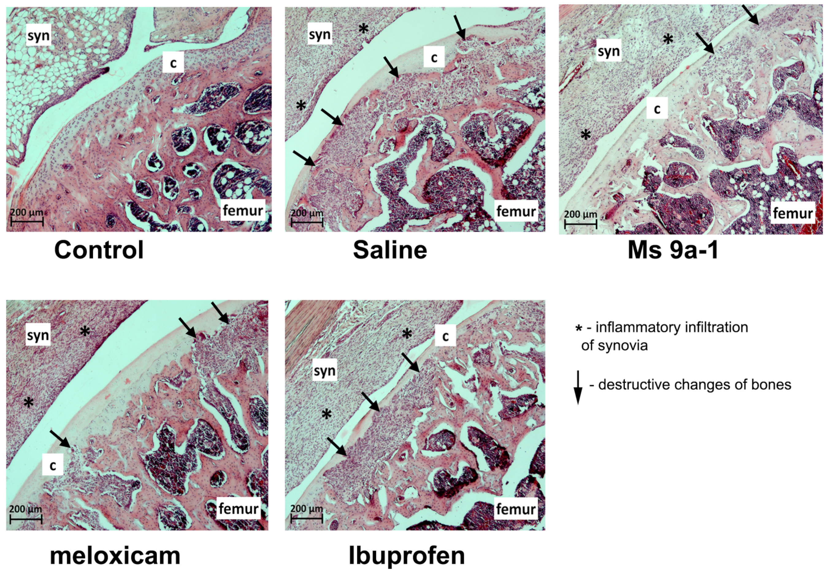Marinedrugs 21 00617 g010