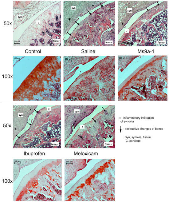 Marinedrugs 21 00617 g0a3