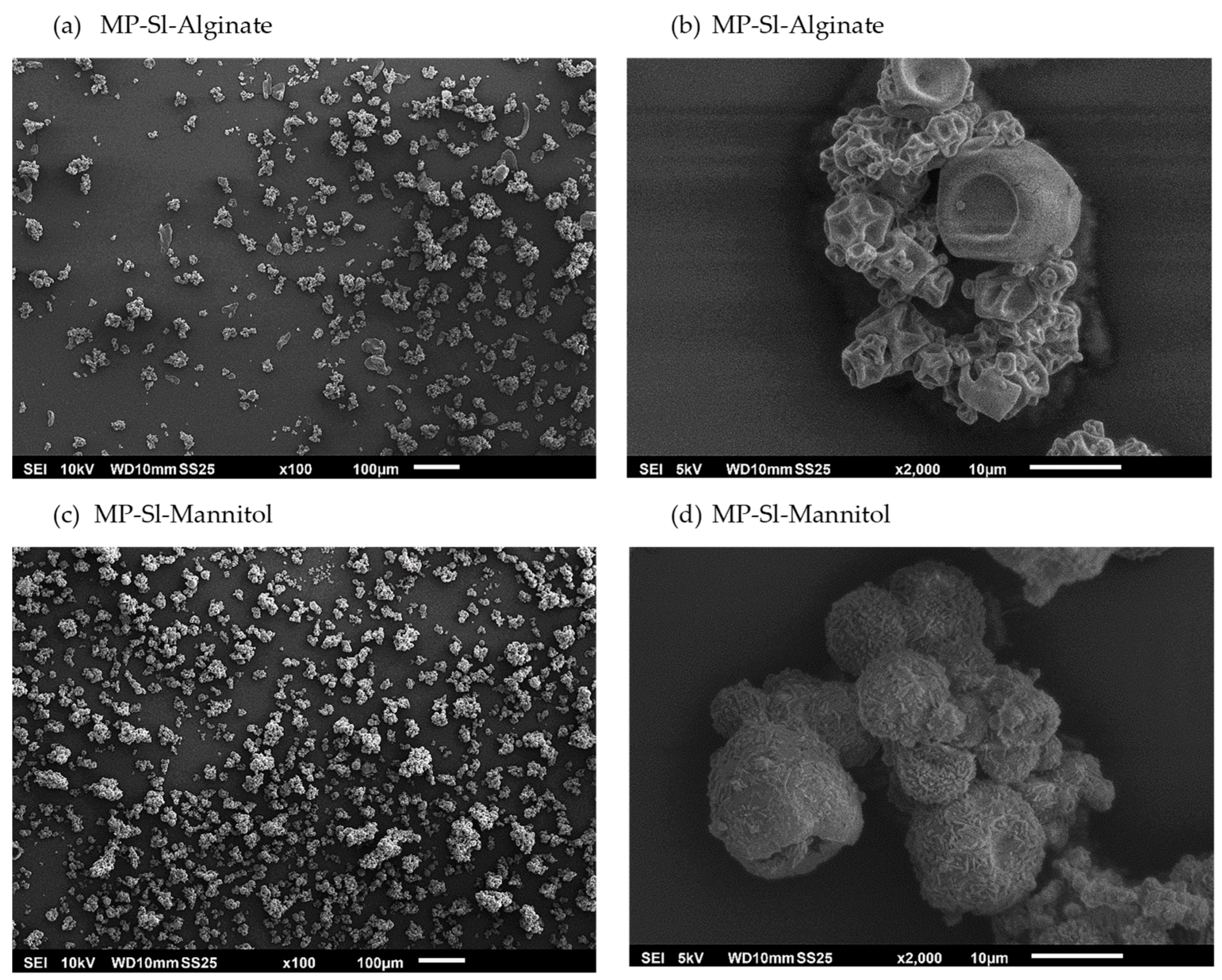 Marinedrugs 21 00618 g006