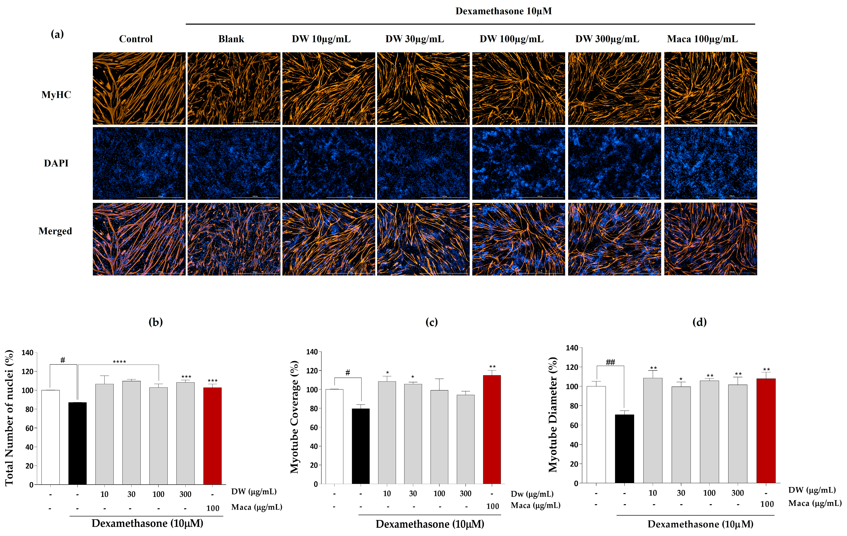 Marinedrugs 21 00623 g003