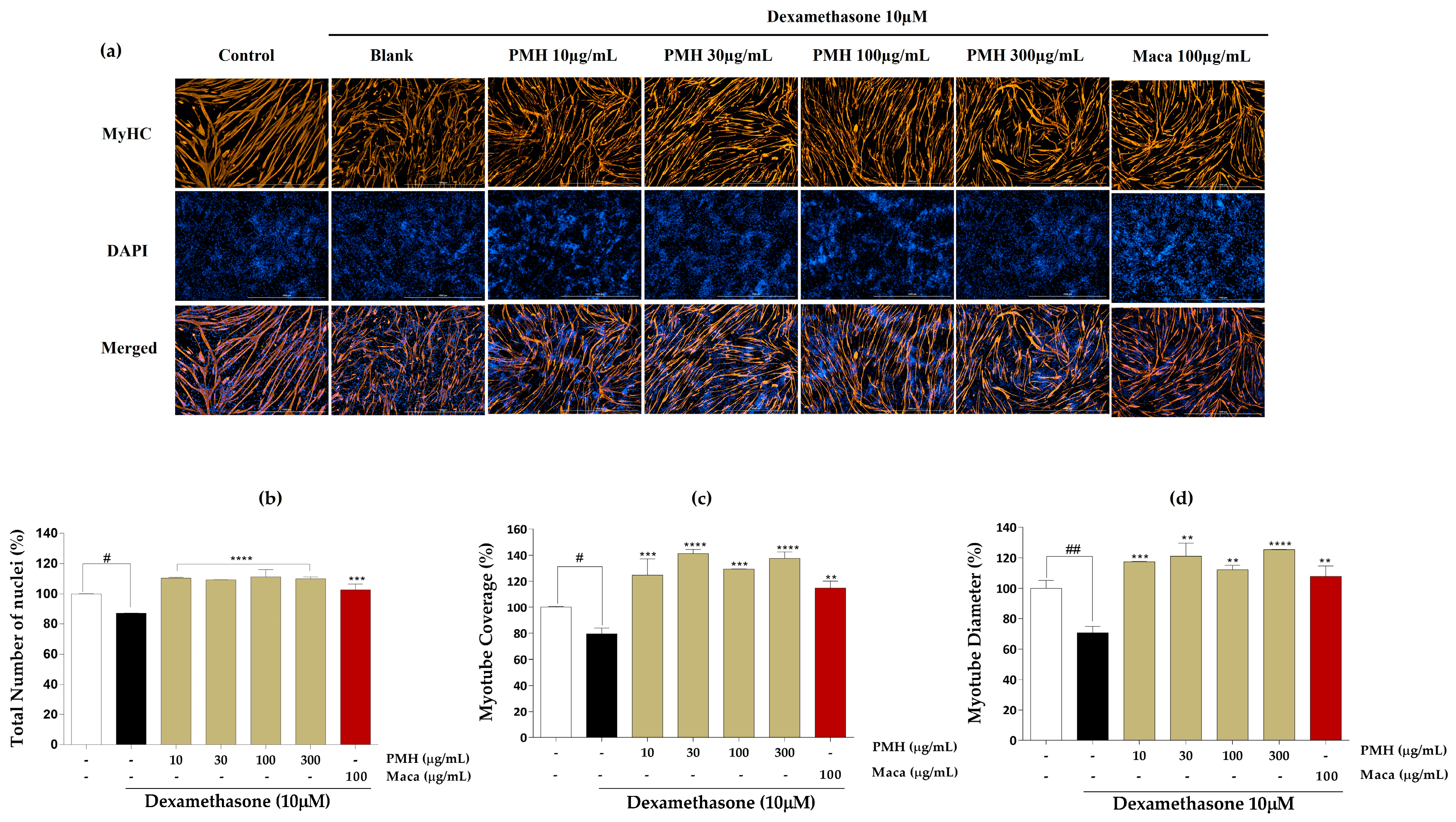 Marinedrugs 21 00623 g004