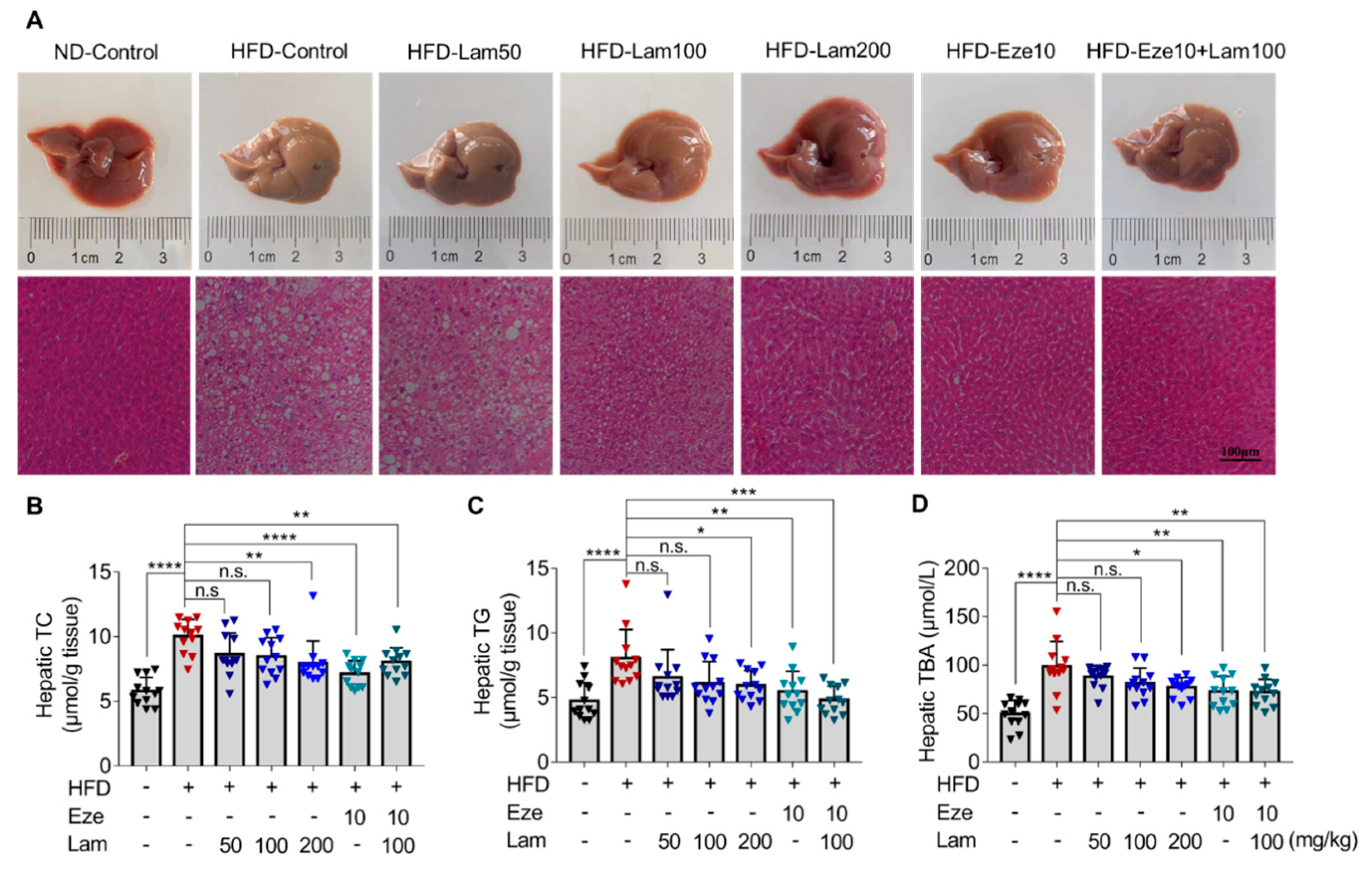 Marinedrugs 21 00624 g005