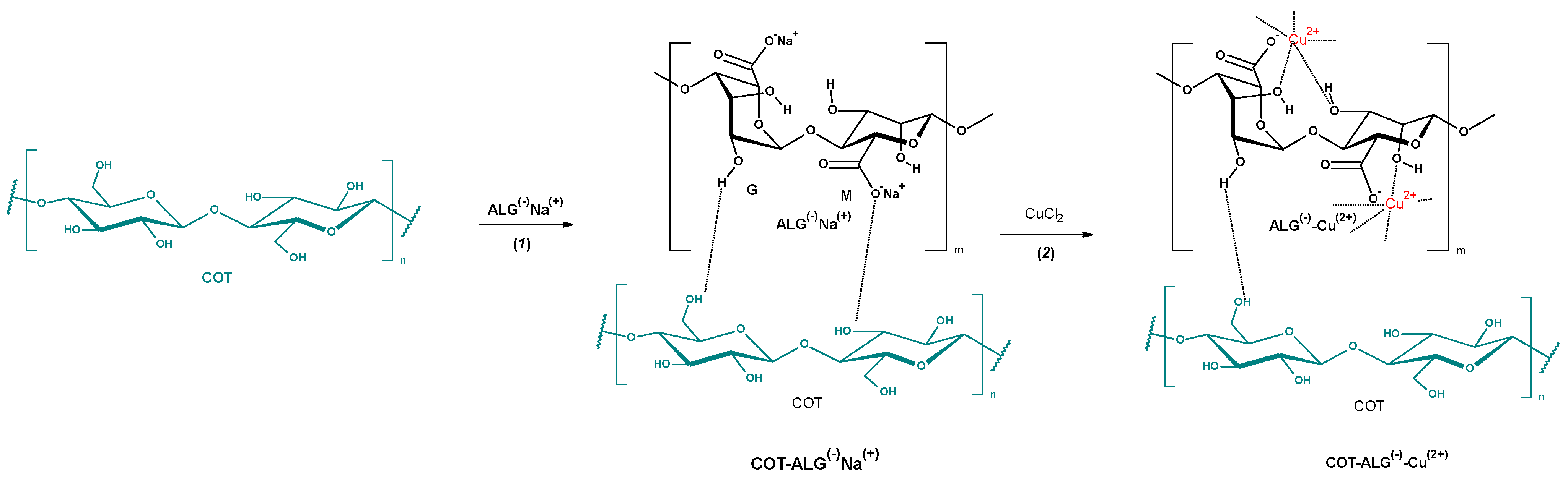 Marinedrugs 21 00625 g002