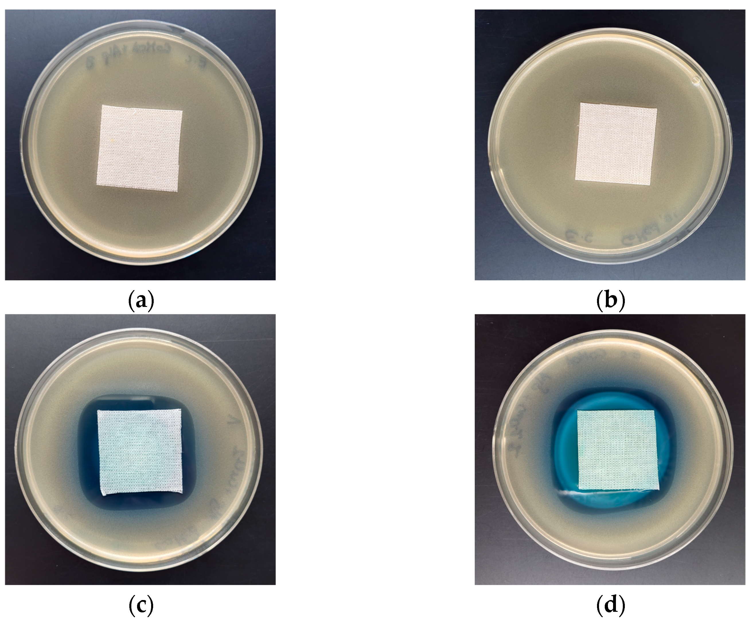 Marinedrugs 21 00625 g006