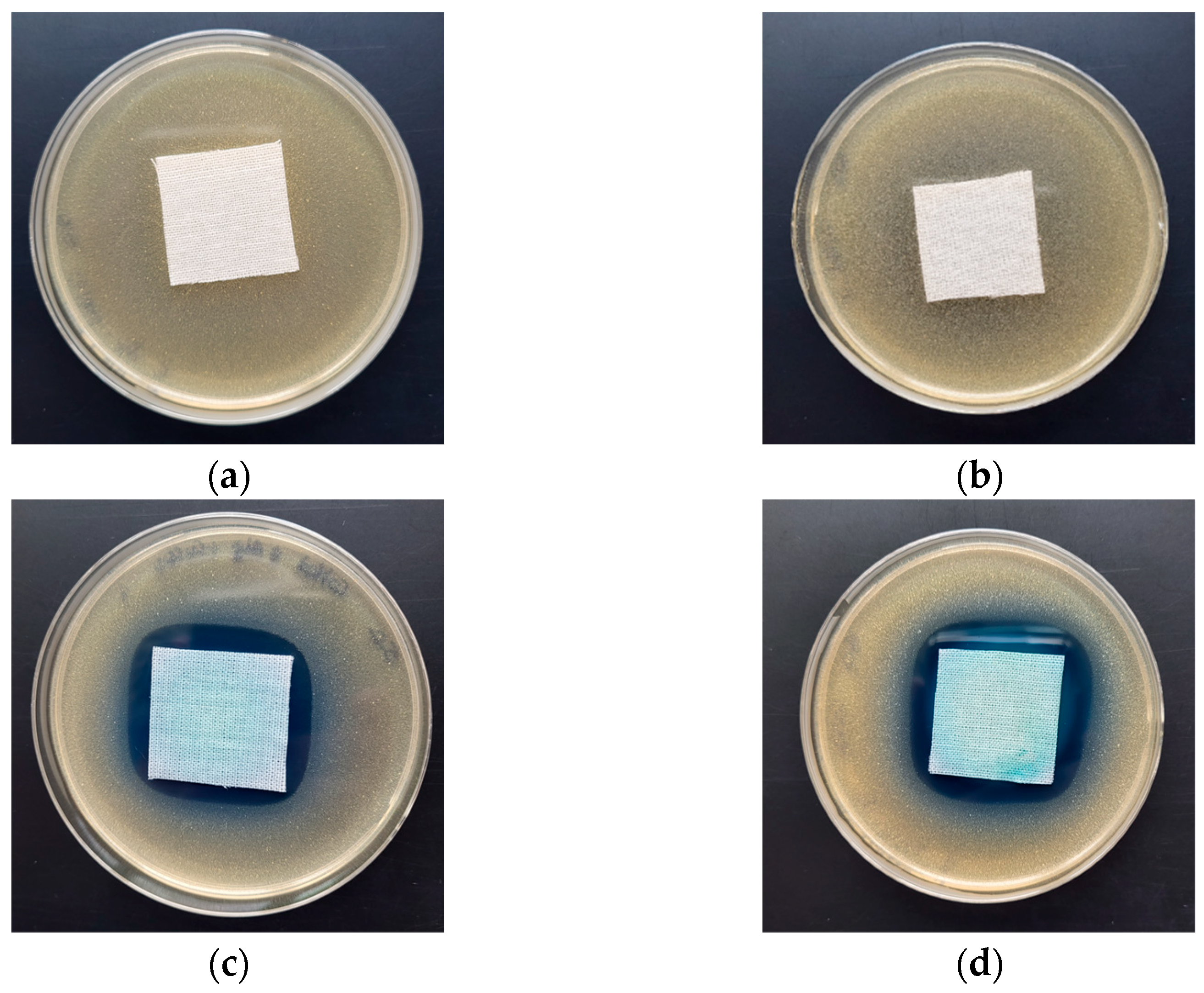 Marinedrugs 21 00625 g007