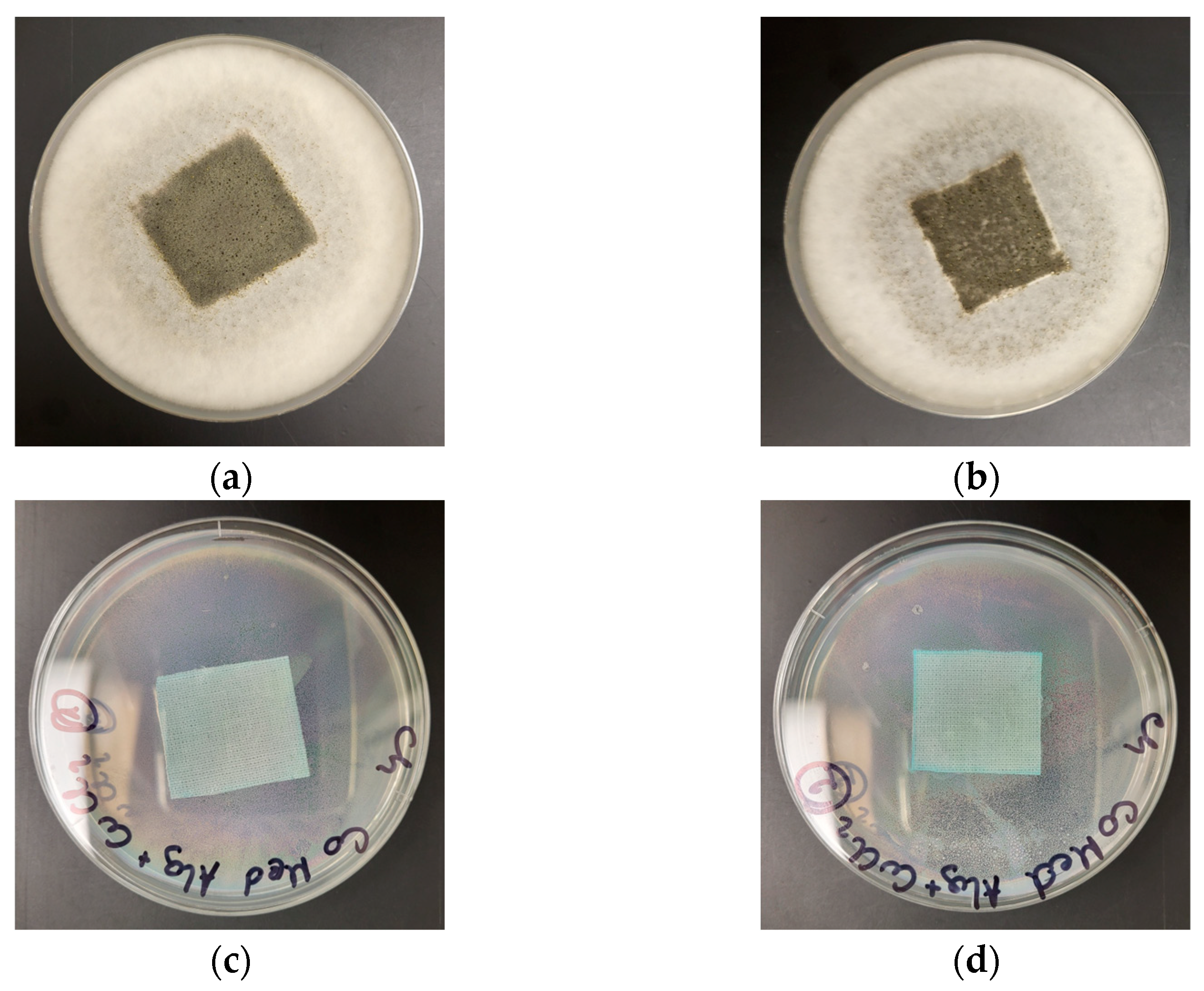 Marinedrugs 21 00625 g008