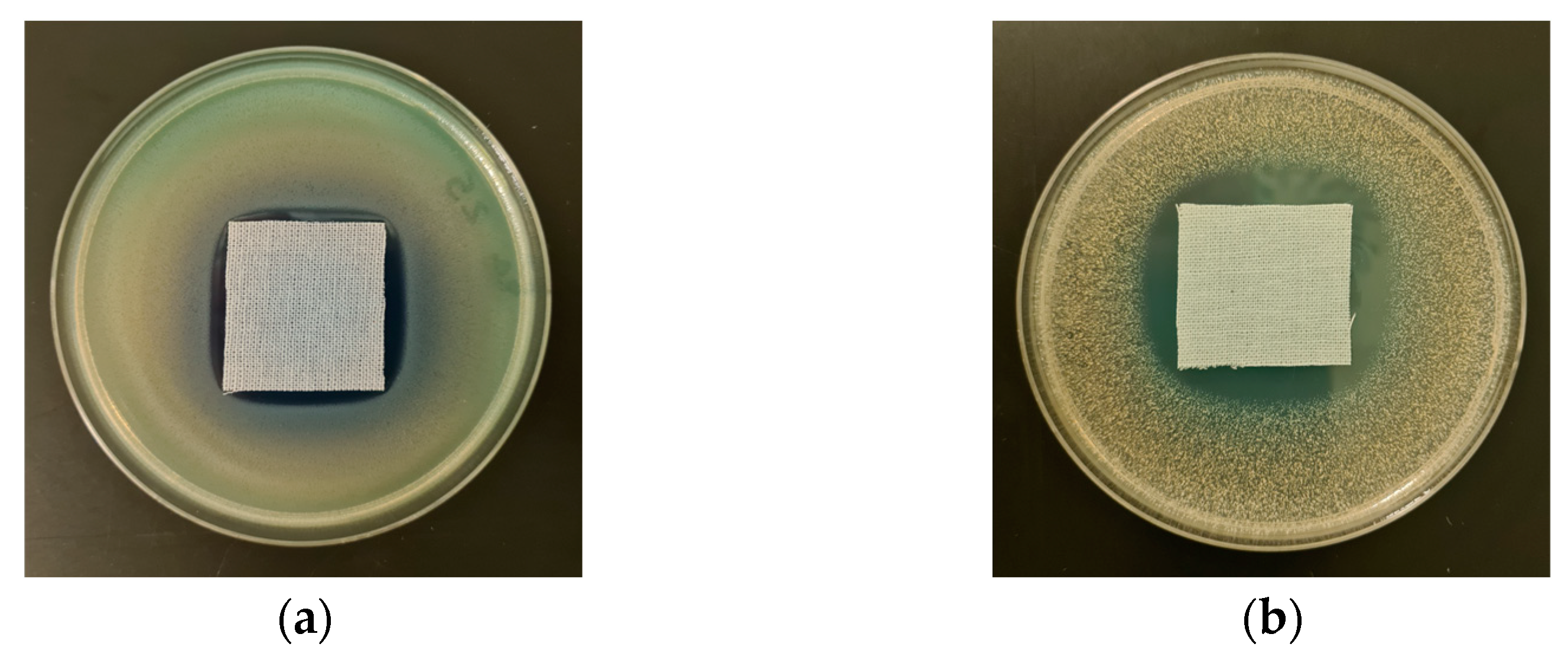 Marinedrugs 21 00625 g009