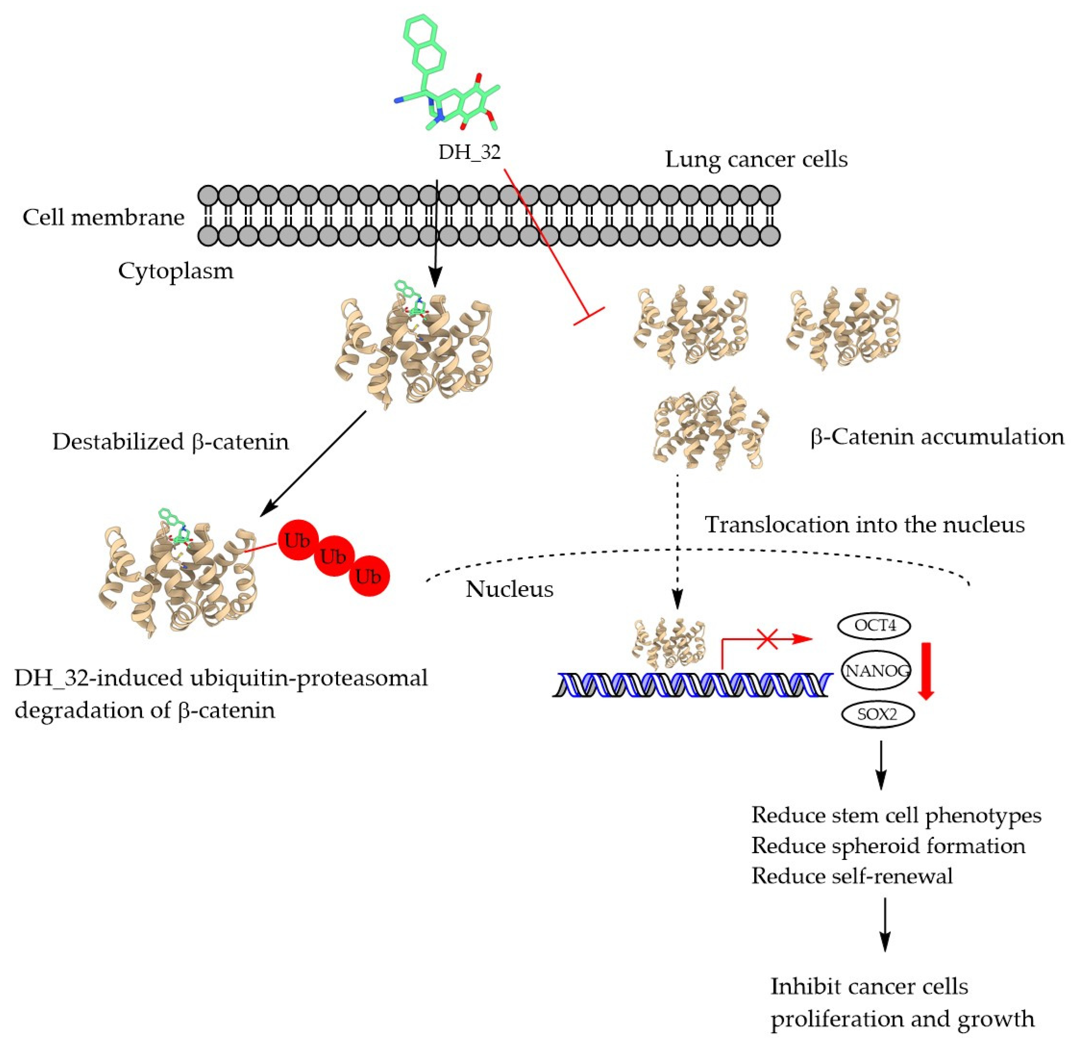 Marinedrugs 21 00627 g009