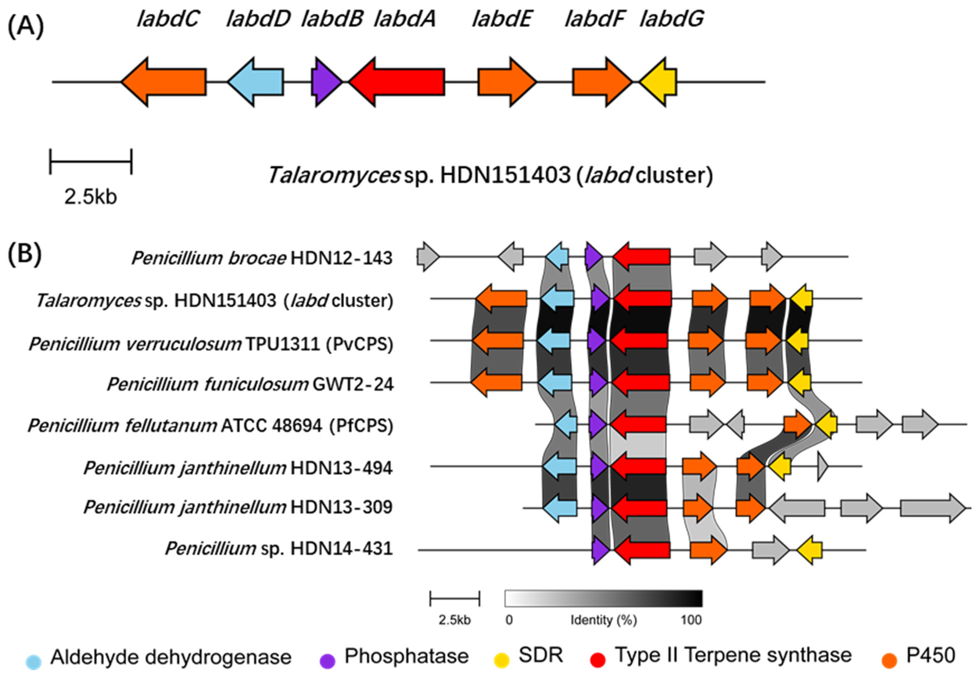 Marinedrugs 21 00628 g001