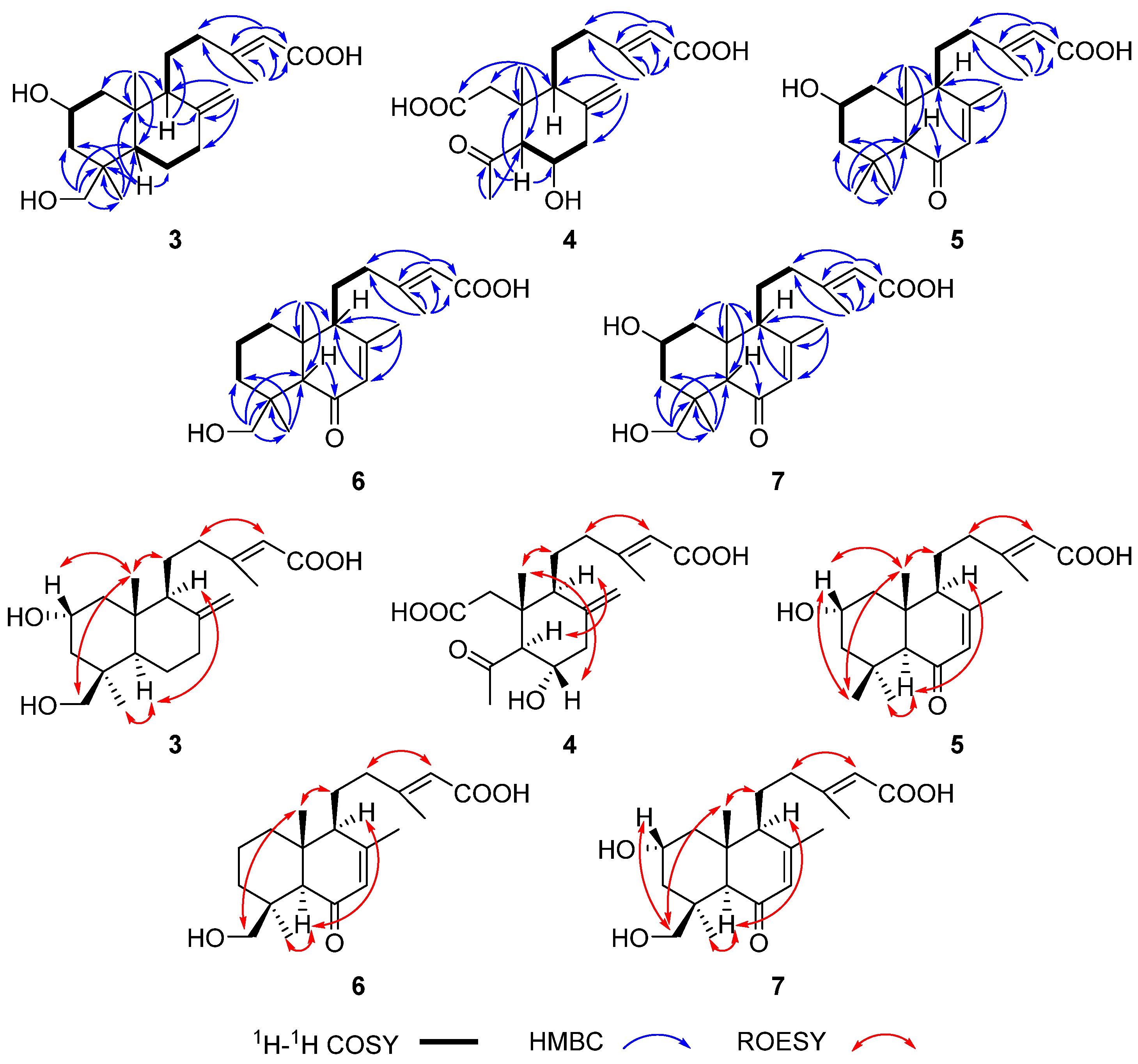Marinedrugs 21 00628 g004