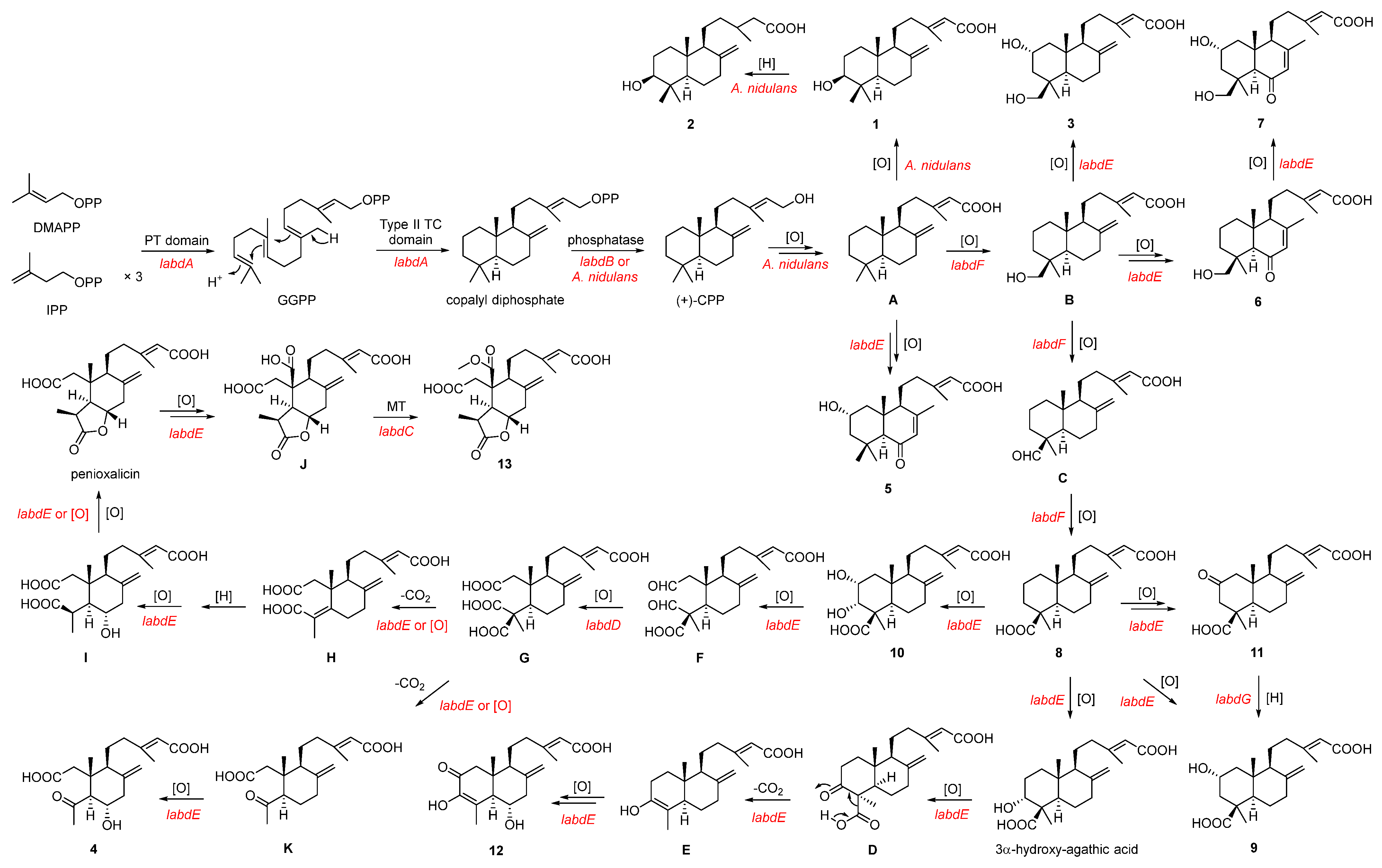 Marinedrugs 21 00628 sch001
