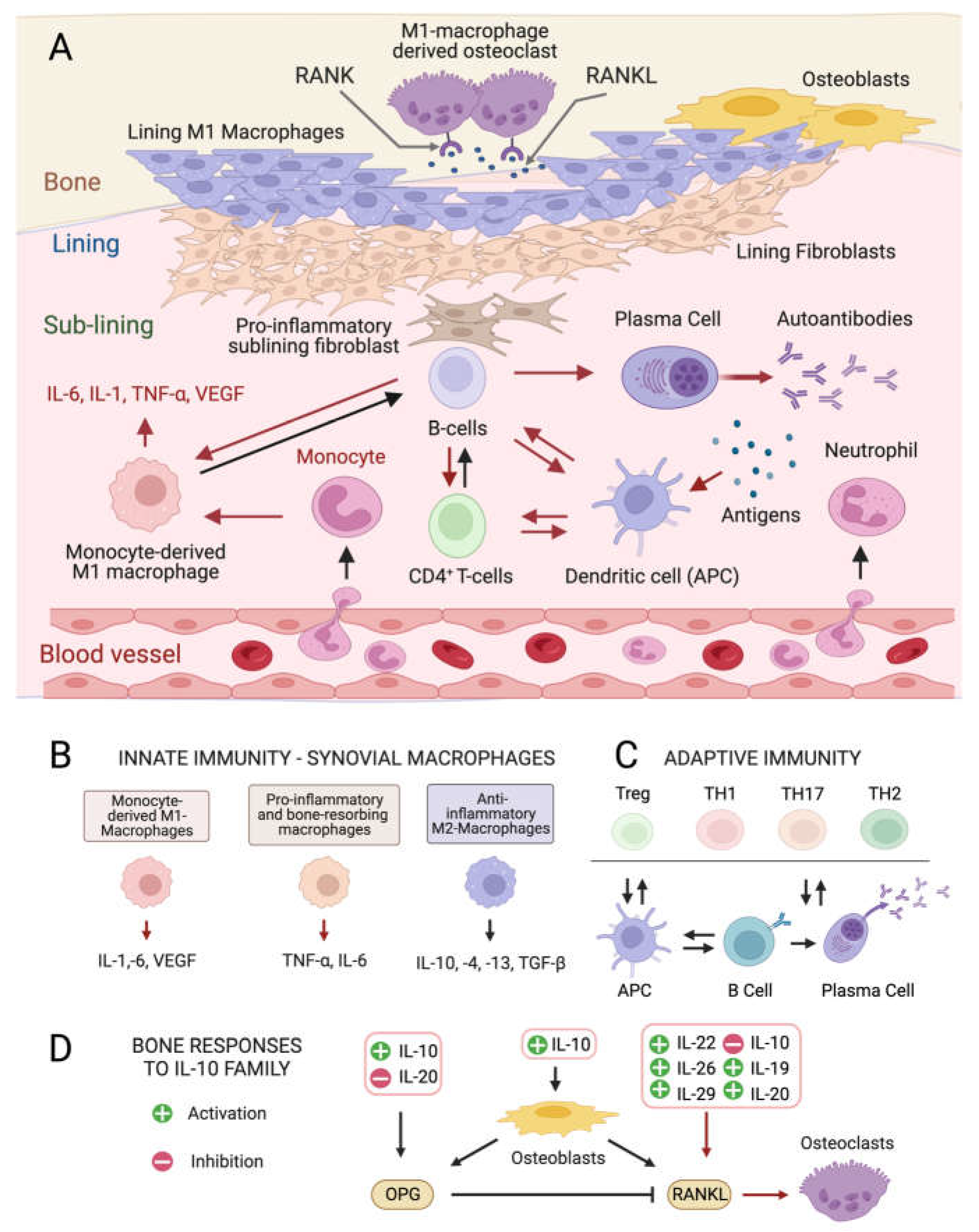 Marinedrugs 21 00630 g001