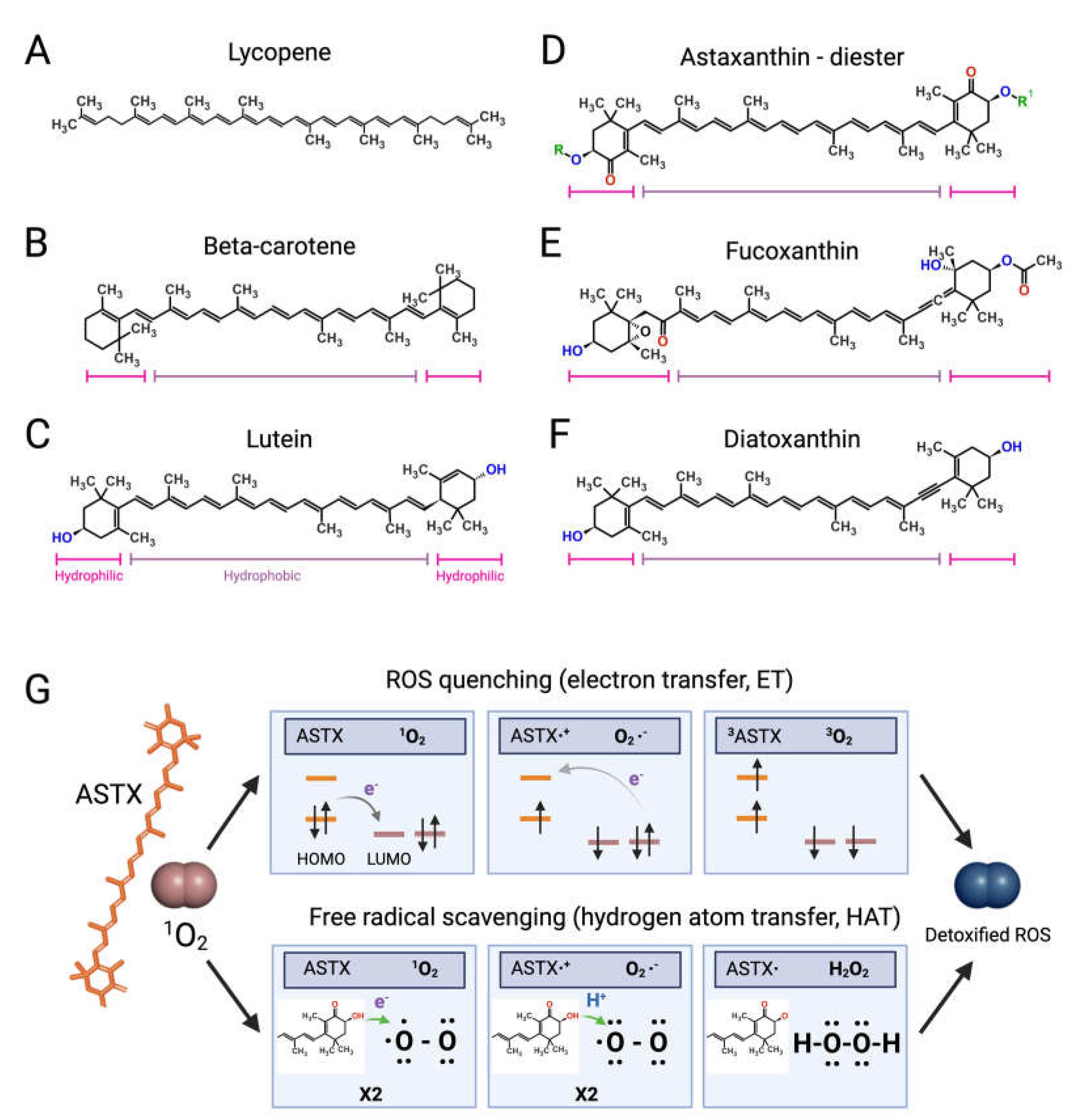Marinedrugs 21 00630 g002