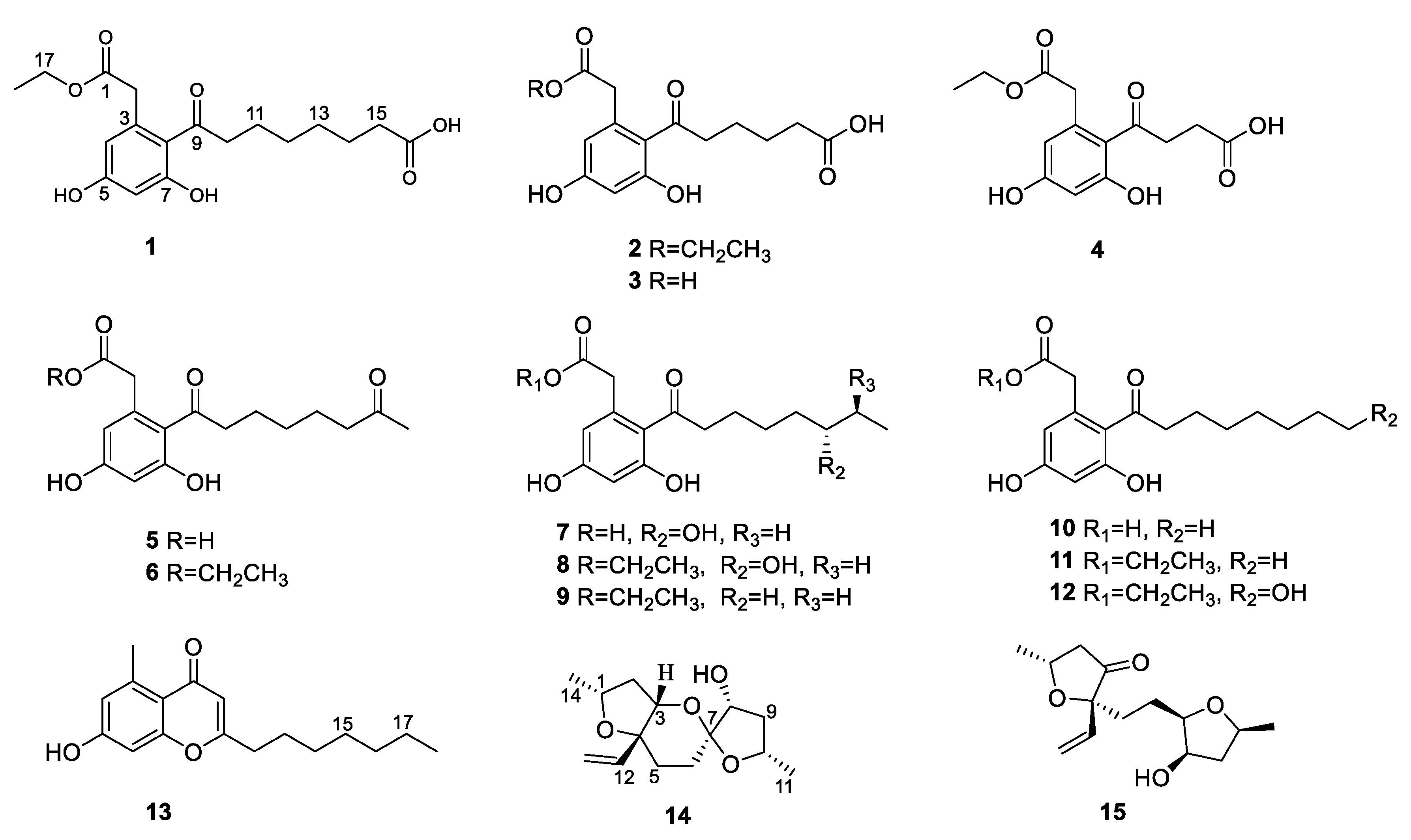 Marinedrugs 21 00631 g001