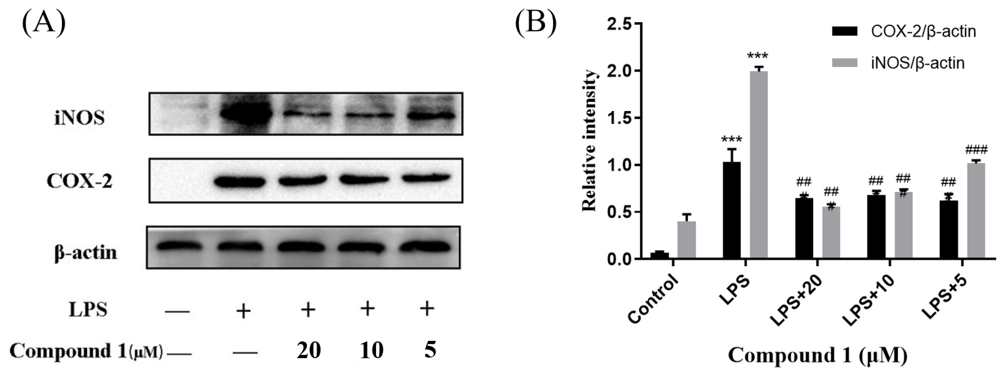 Marinedrugs 21 00631 g006