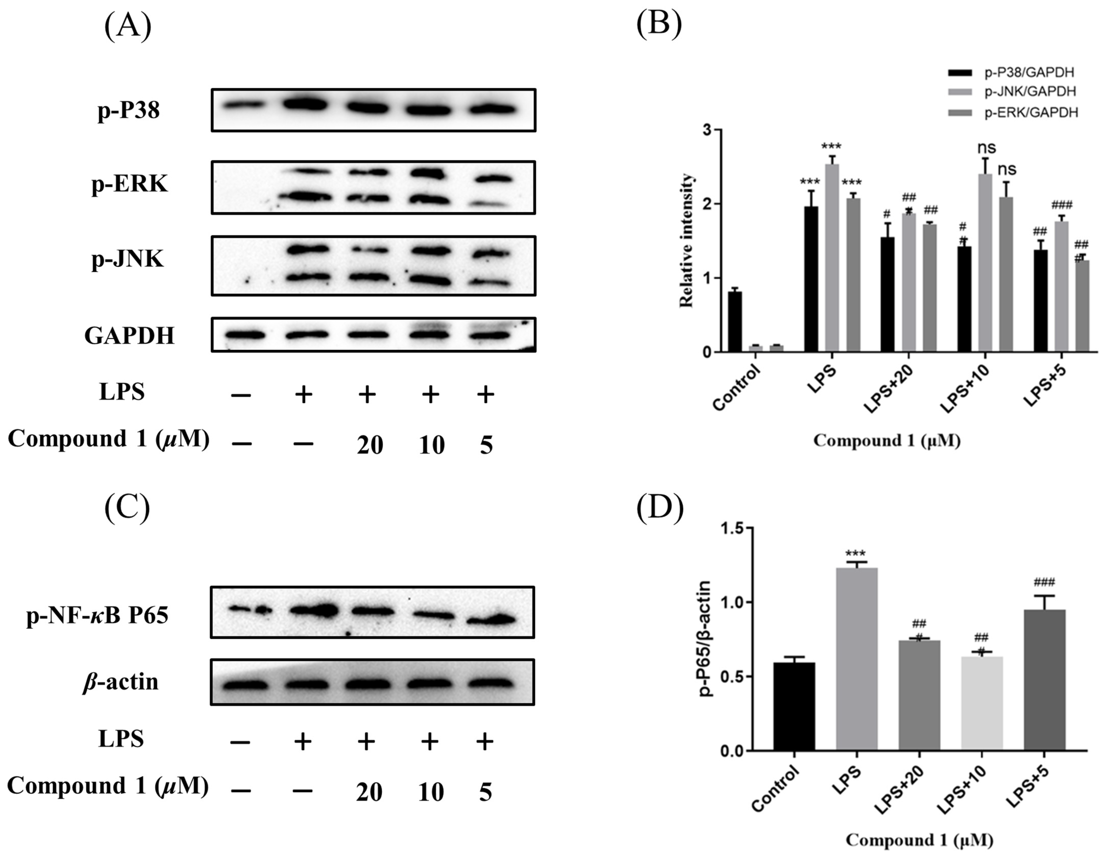 Marinedrugs 21 00631 g007