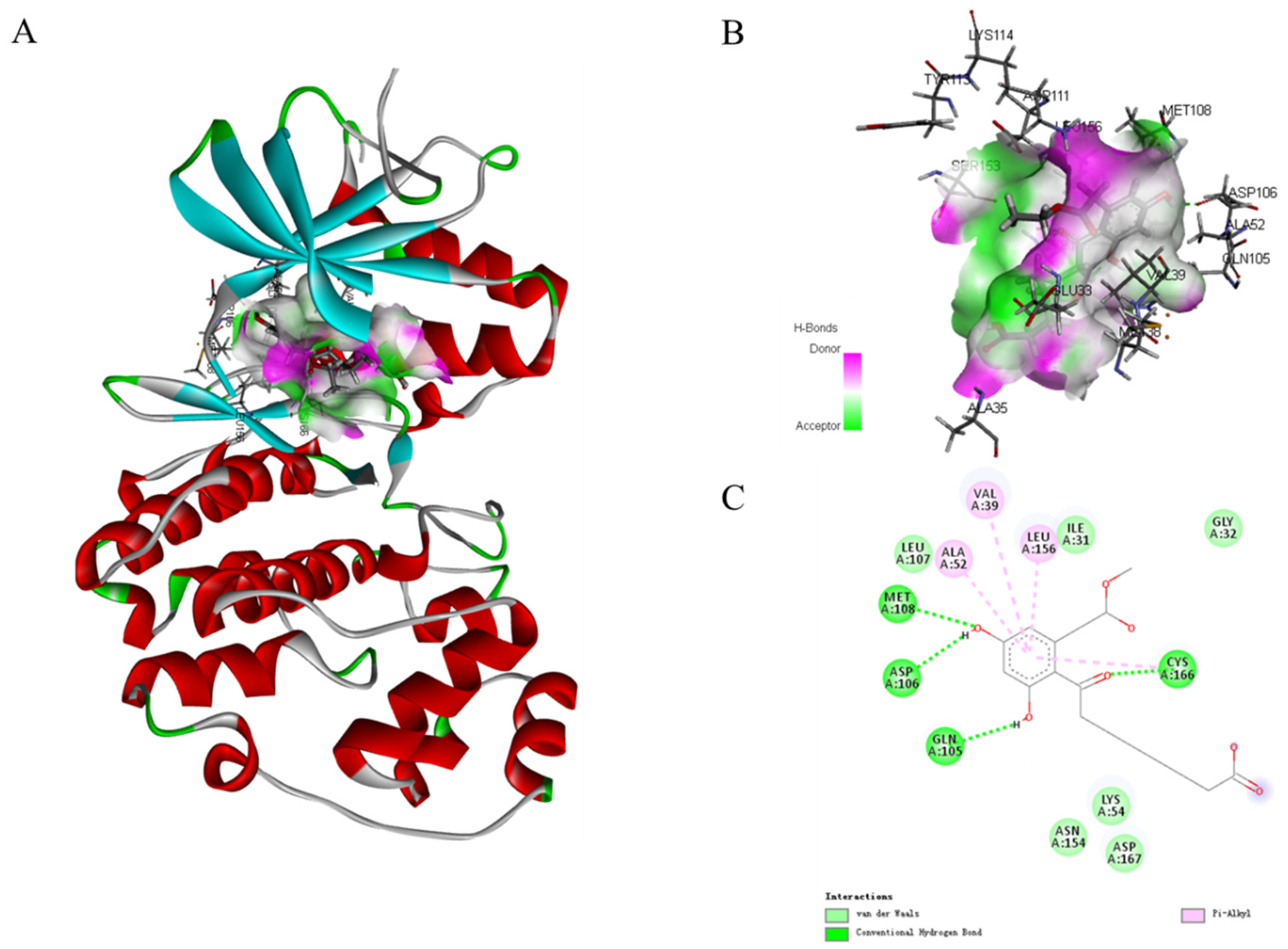 Marinedrugs 21 00631 g008