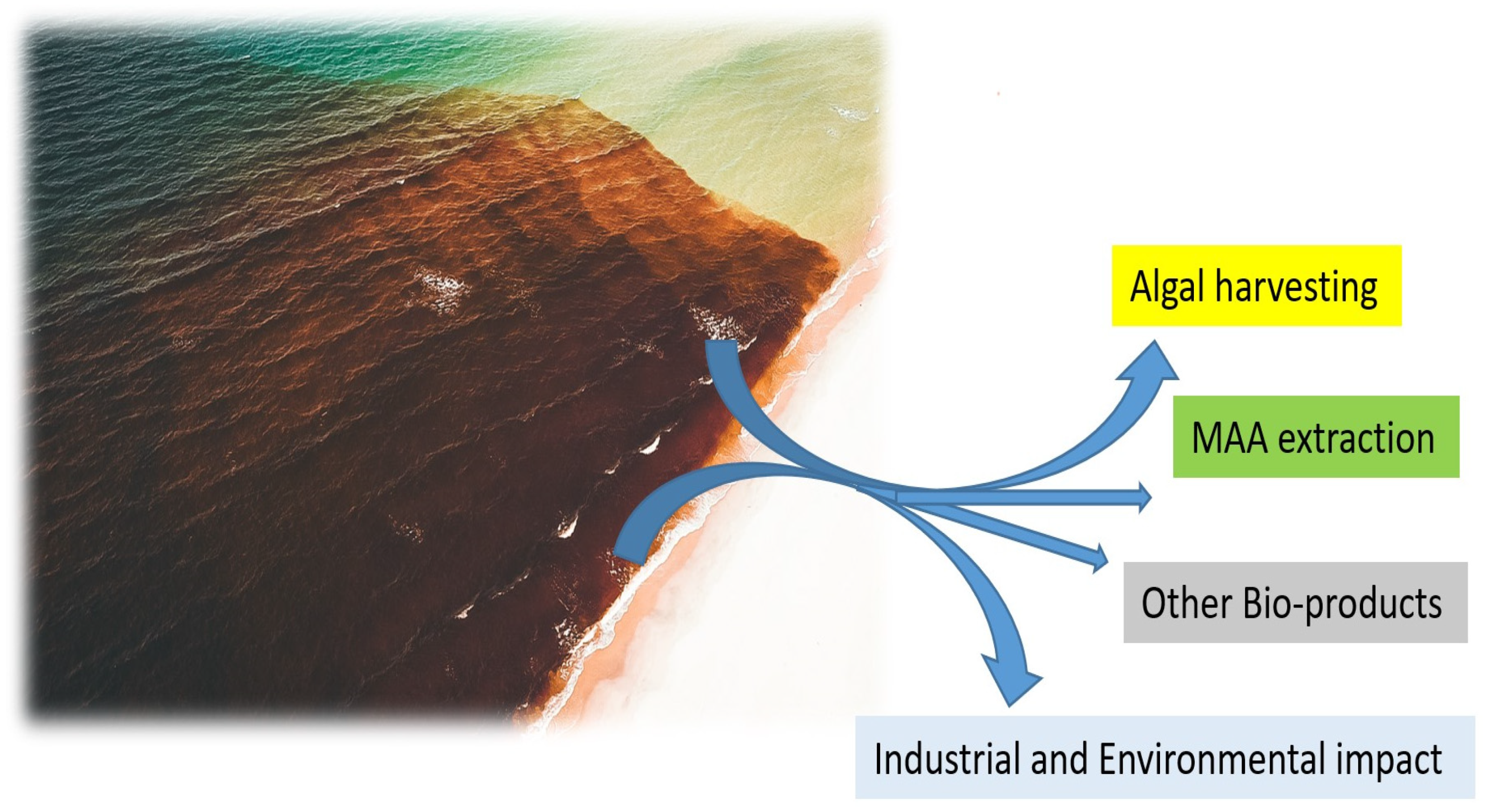 Marinedrugs 21 00633 g003