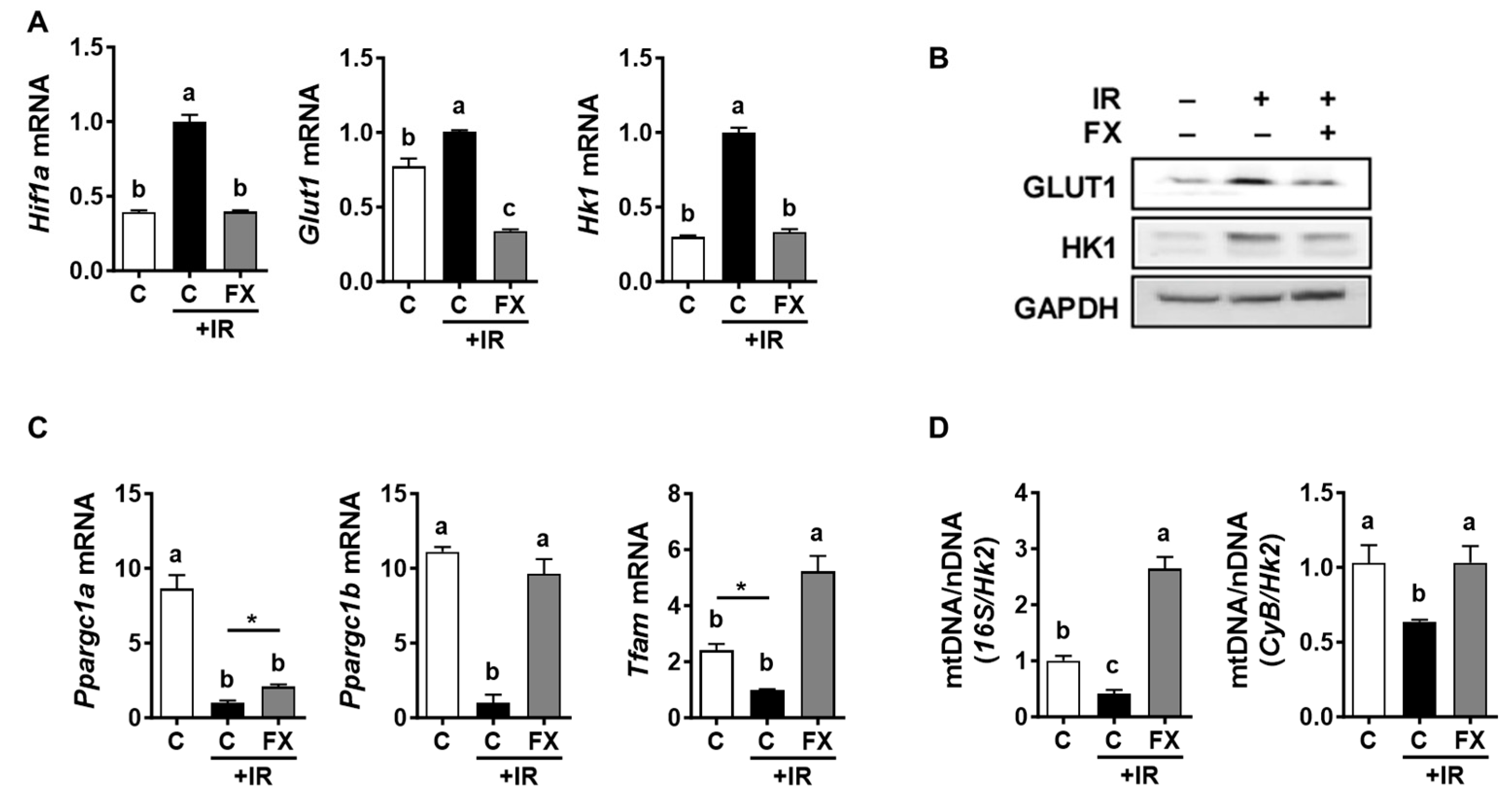 Marinedrugs 21 00635 g002