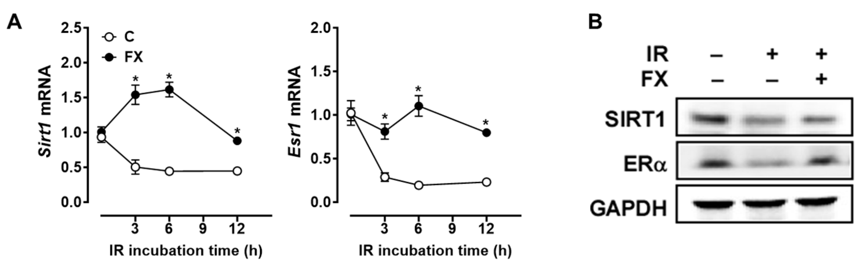 Marinedrugs 21 00635 g003