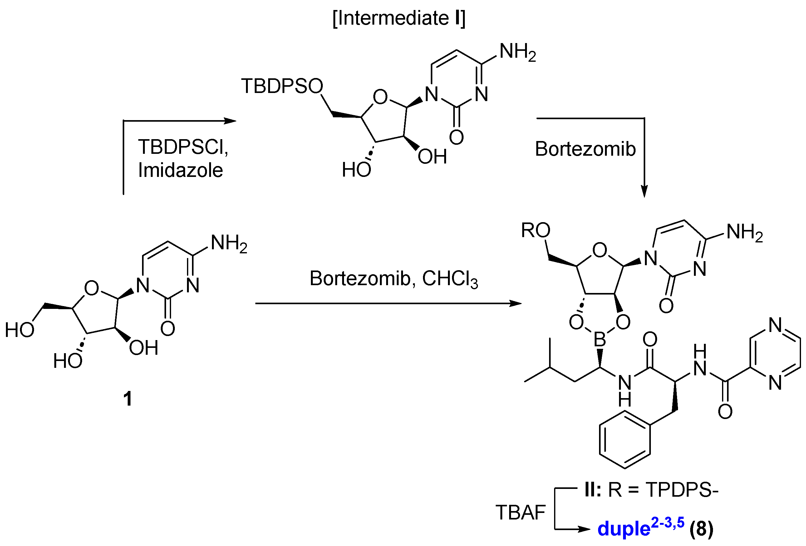 Marinedrugs 21 00637 sch002