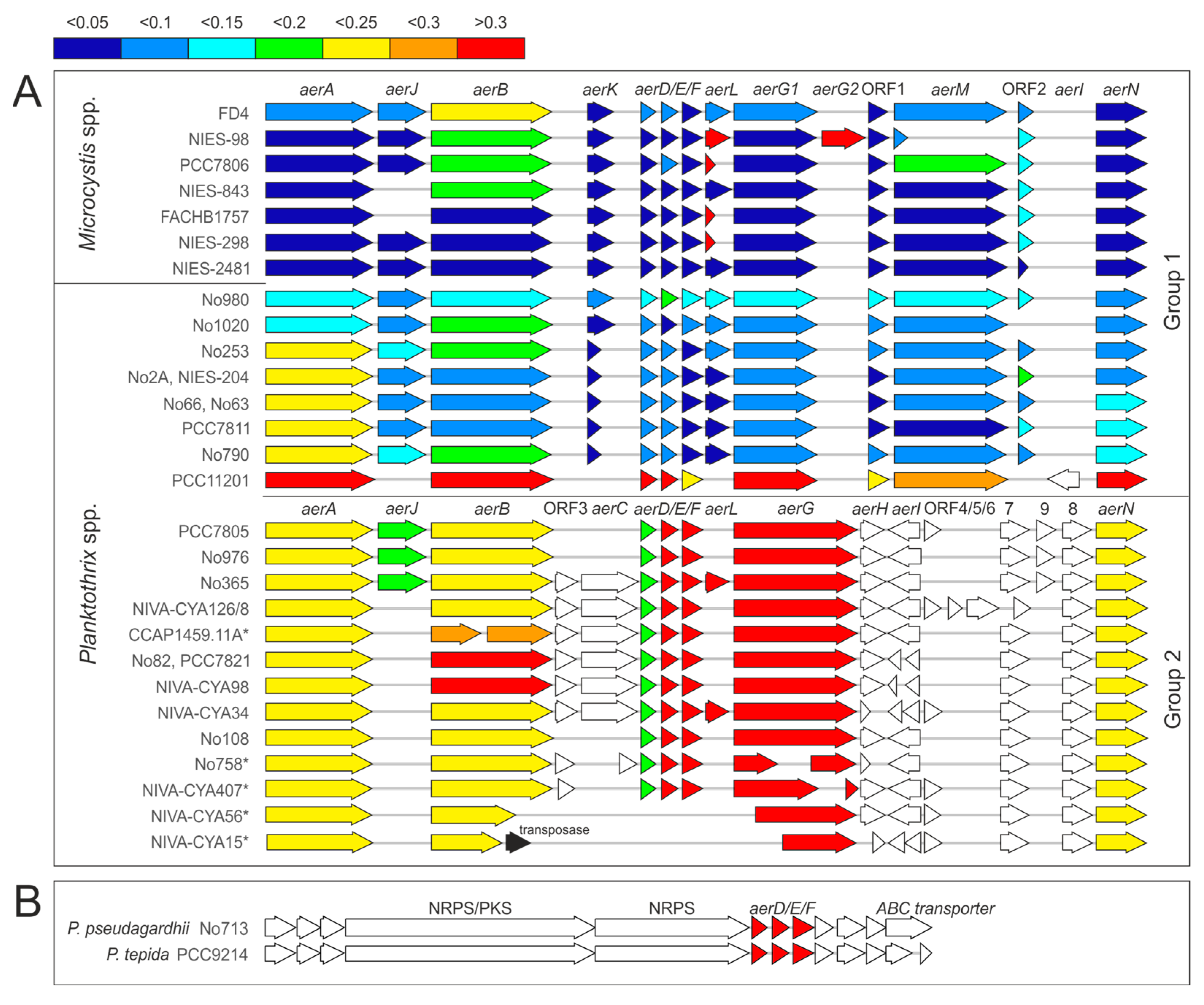 Marinedrugs 21 00638 g001