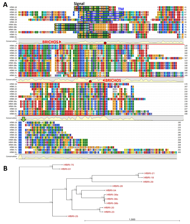 Marinedrugs 21 00639 g001