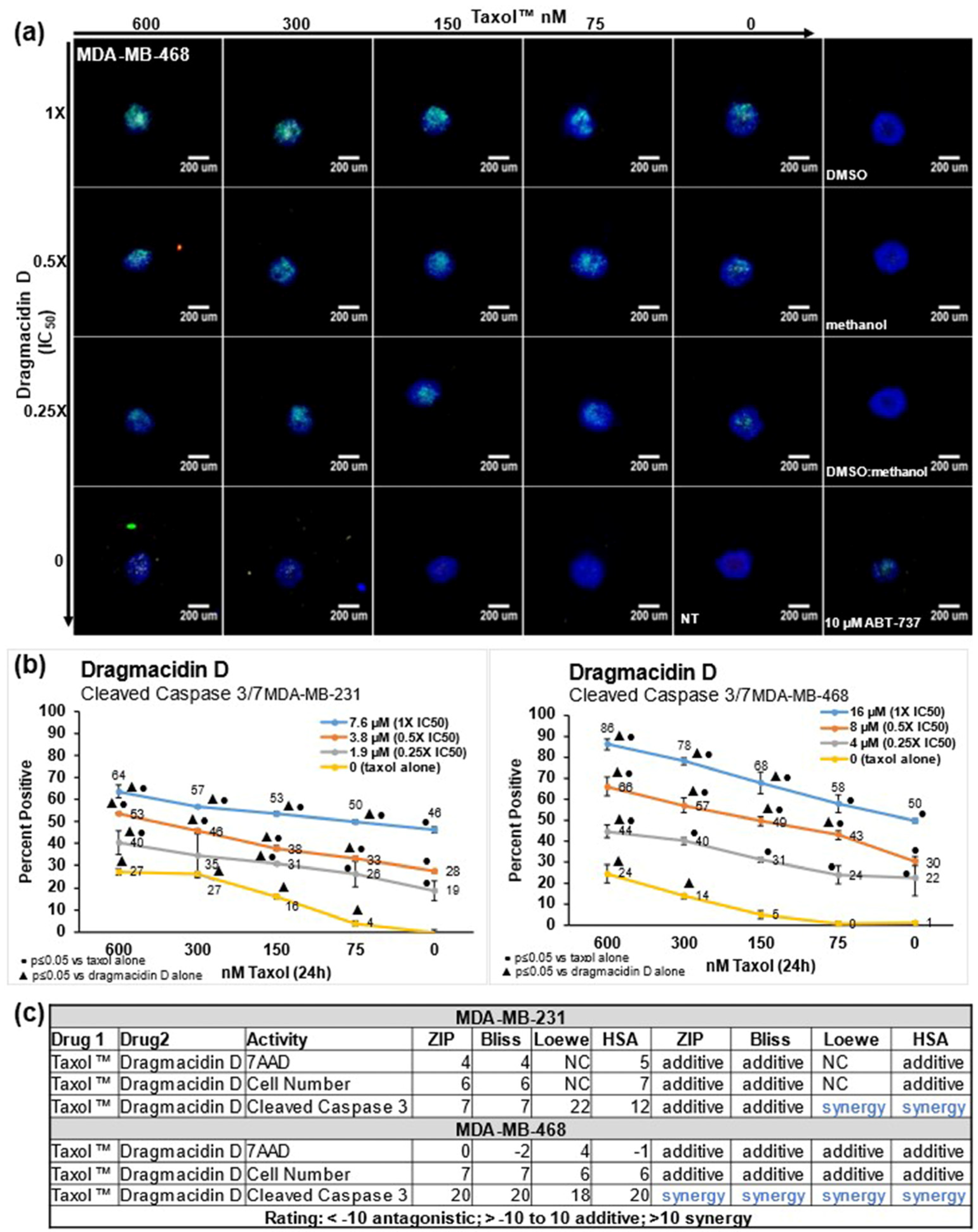 Marinedrugs 21 00642 g004